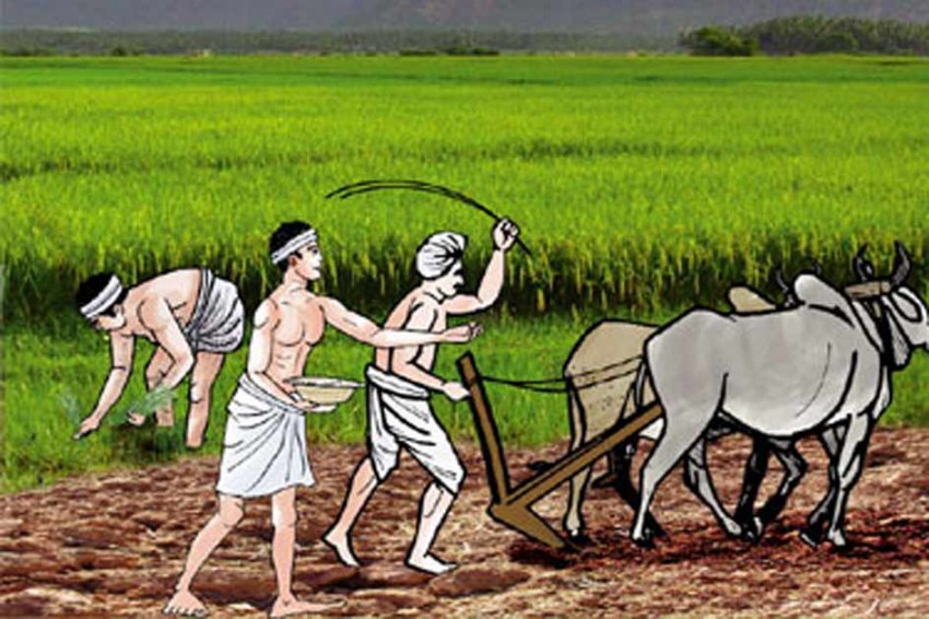 बल्ल पाए कृषकले पहिचान