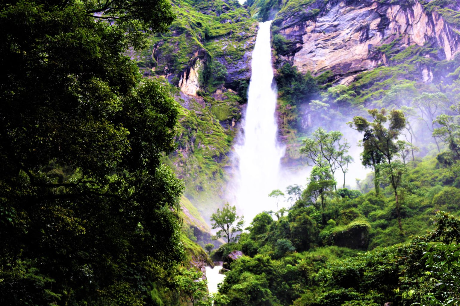 जाडोमा सुनसान बन्यो हिमाली गाउँ तोक्पेगोला