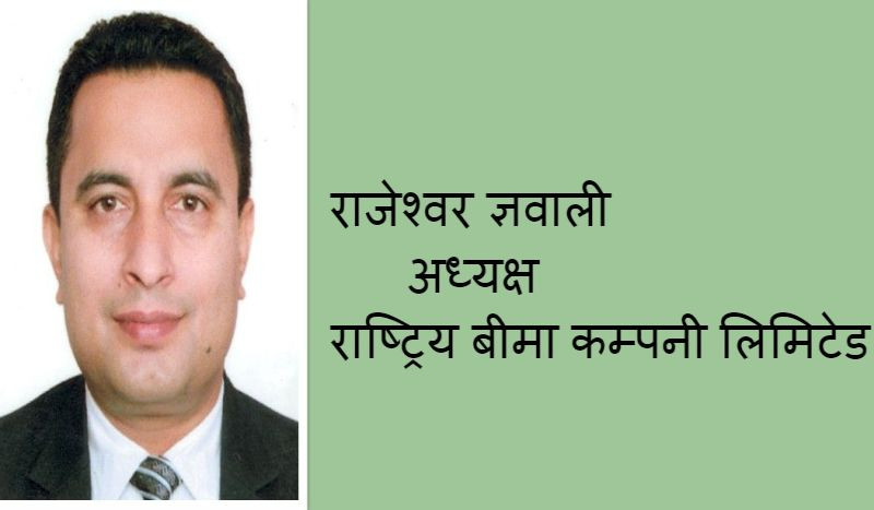 राष्ट्रिय बीमा कम्पनीको अध्यक्षमा राजेश्वर ज्ञवाली नियुक्त