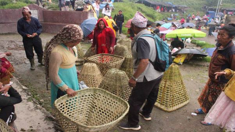 डोको खरिद बिक्री, प्रतिडोको ५०० देखि हजारसम्म