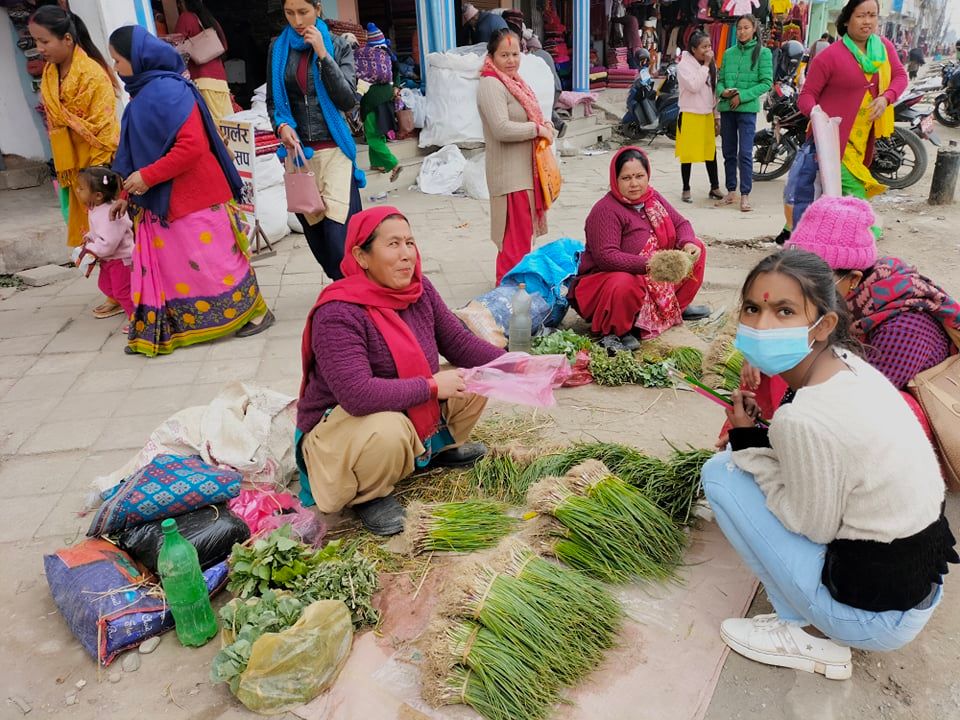 प्याजको बेर्ना बिक्री गरिँदै