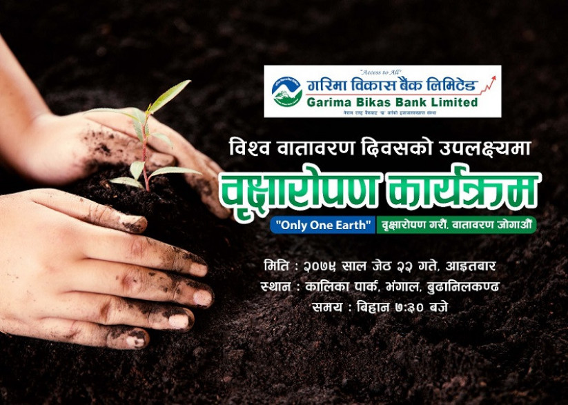 विश्व वातावरण दिवसमा गरिमा विकास बैंकद्वारा बृहत वृक्षरोपण