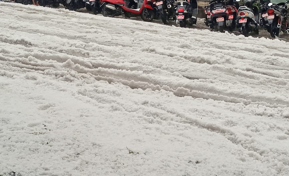 असिनाले बाली नष्ट