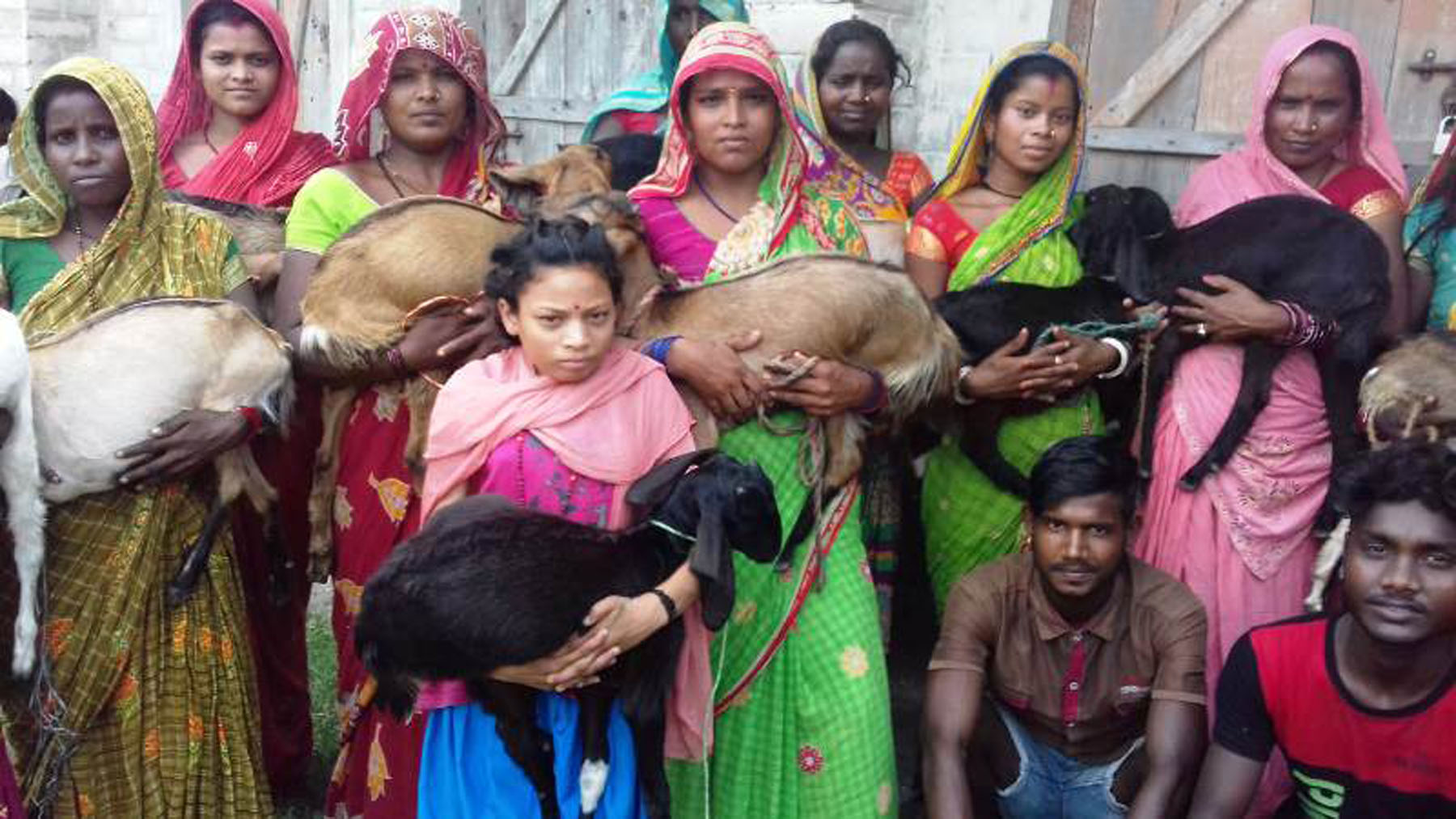 न्यून आय भएका परिवारलाई बाख्रा