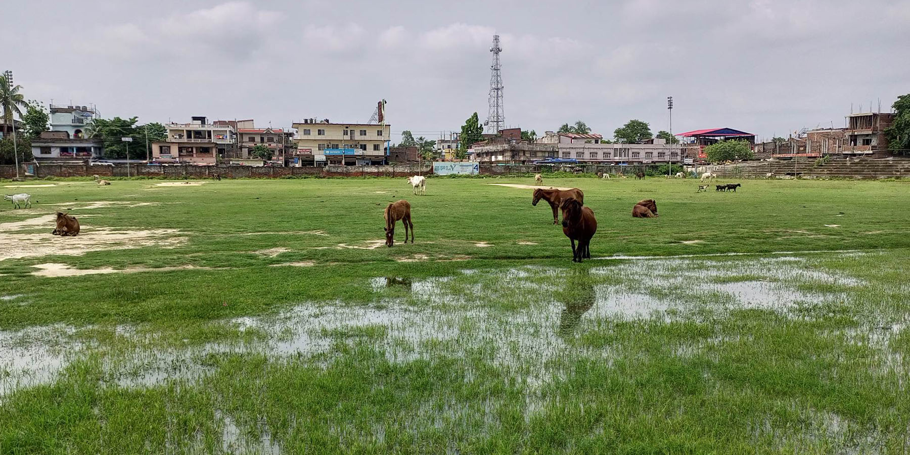 राजरङ्गशाला गौचरणमा परिणत