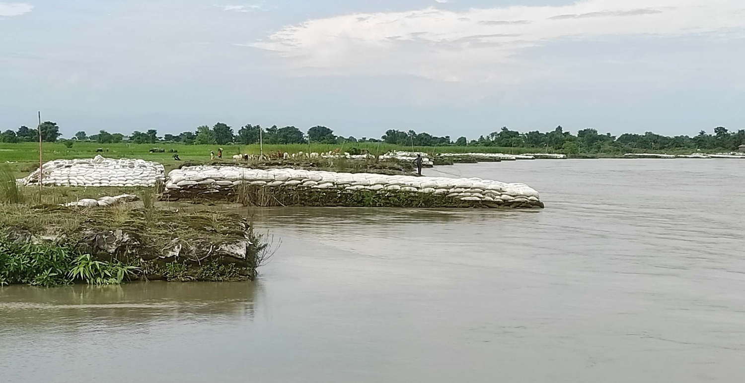 बस्ती जोगाउन कोसी नदीमा निर्माण गरिएको तटबन्ध
