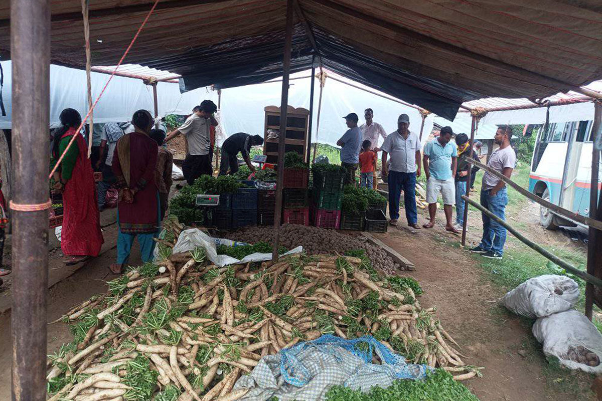 तरकारी सङ्कलन केन्द्र