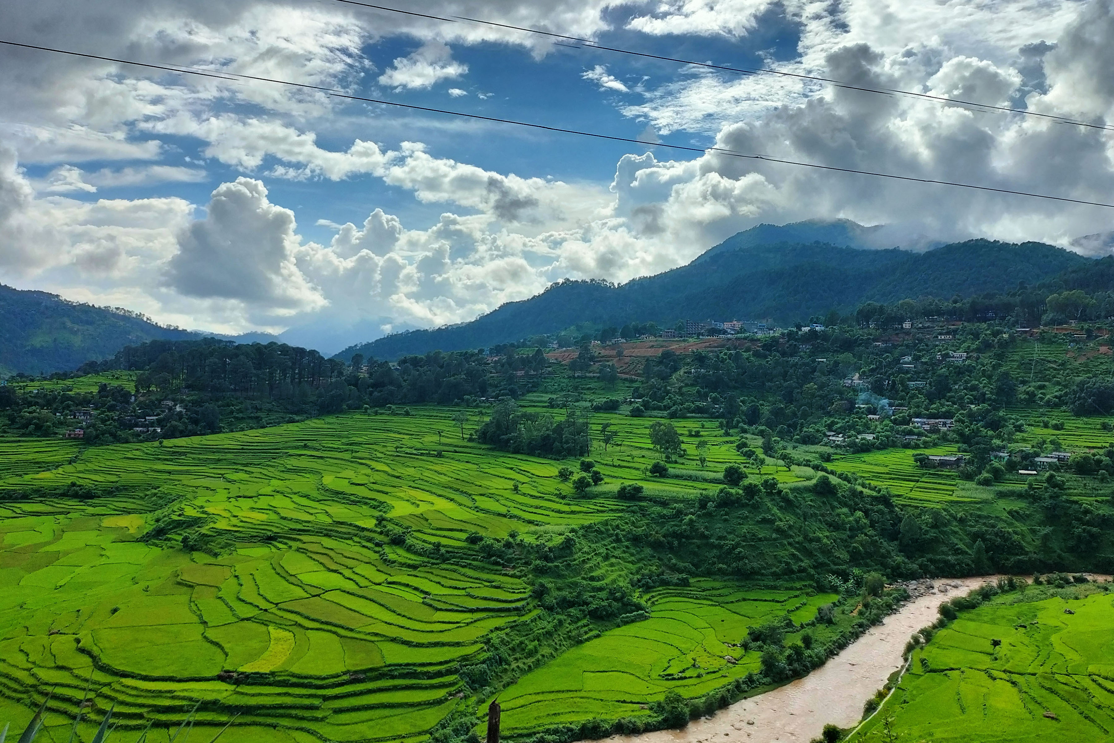 धानबाली