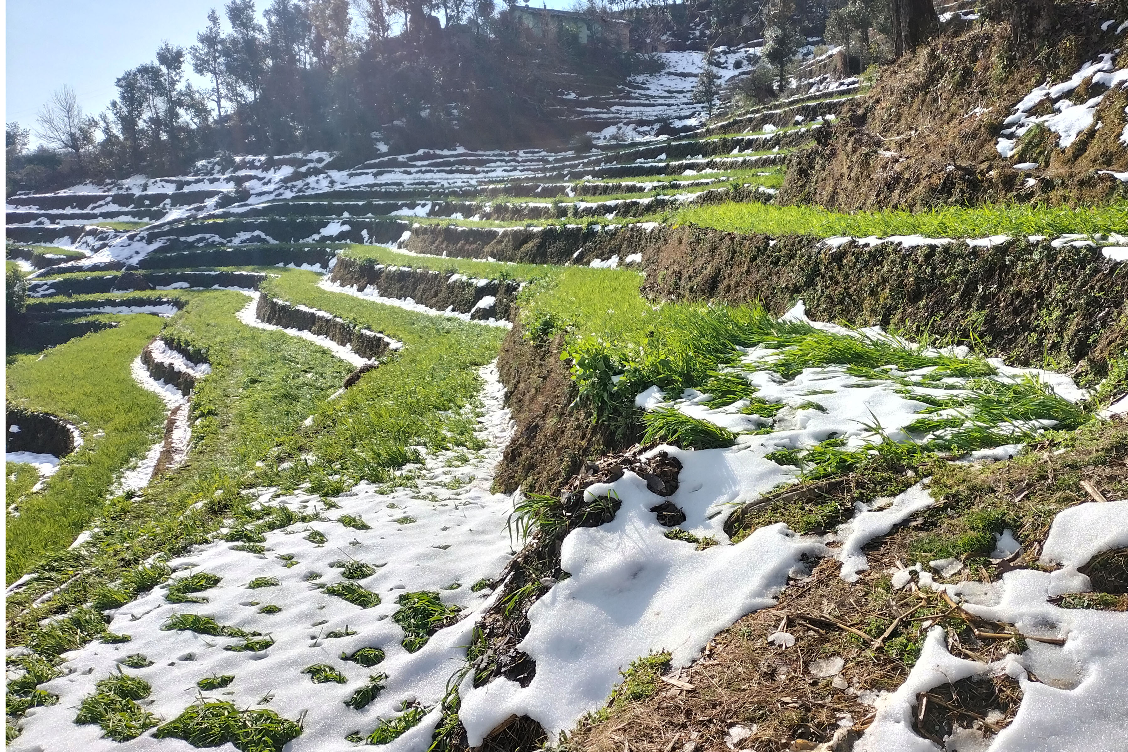 हिमपात : दुवै याममा निर्माण ठप्प, किसानमा खुशी