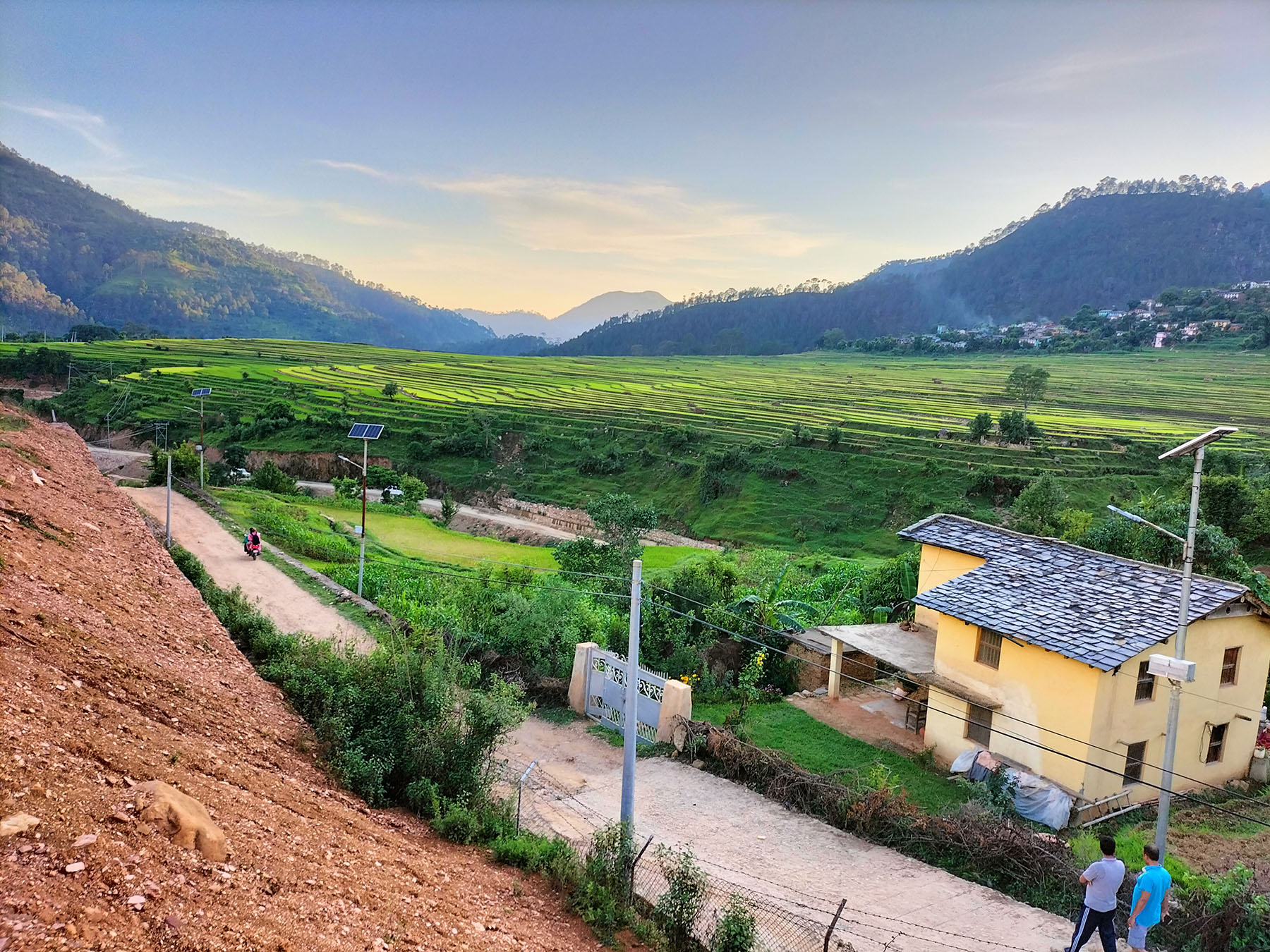 धान खेती पकेट क्षेत्र