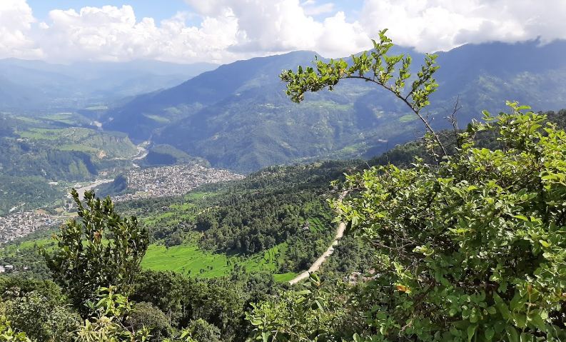 वर्षाैंदेखि झाडीले ढाकेकाे बारी, लकडाउनपछि बन्दैछ हरियाली