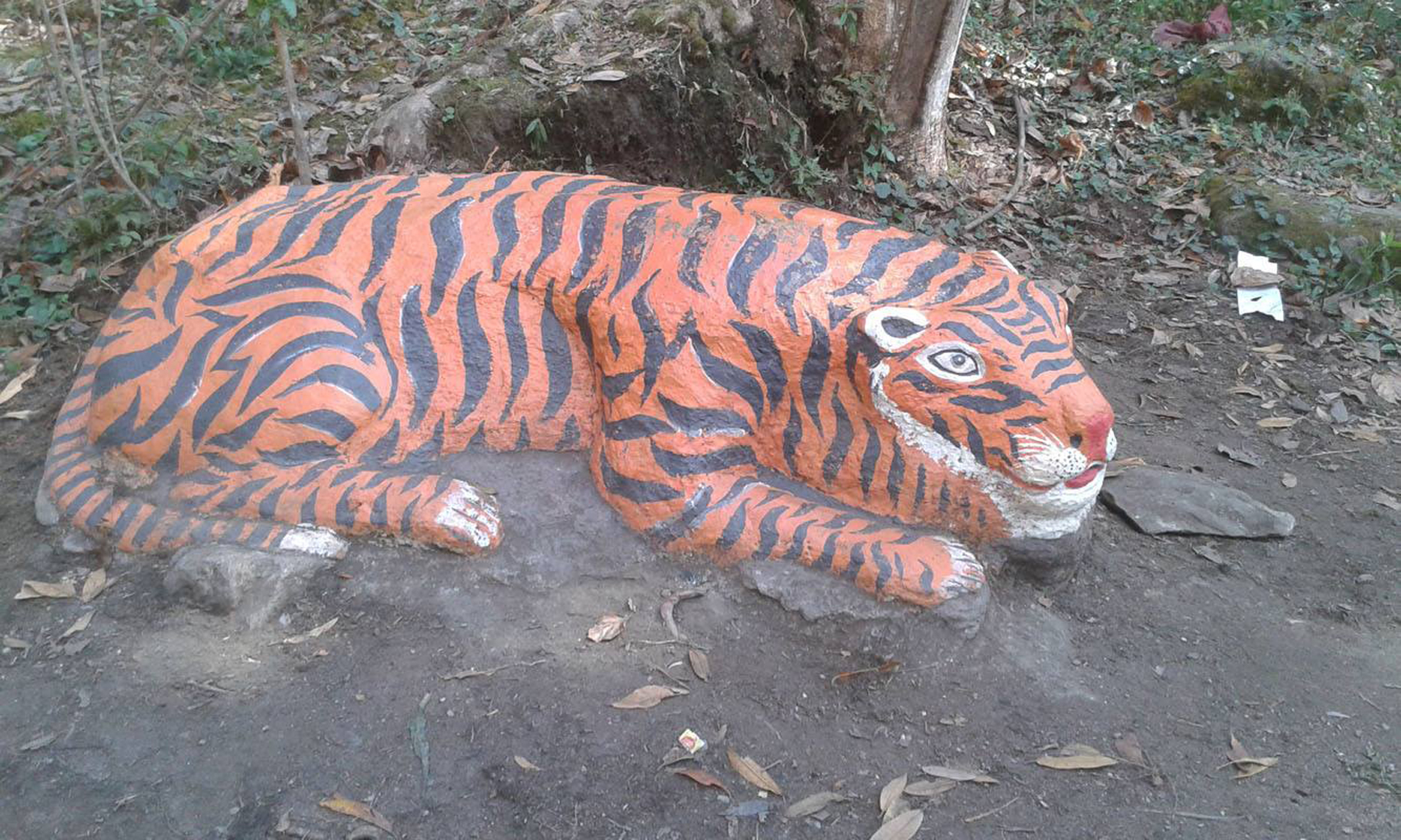 बाघको आकृति