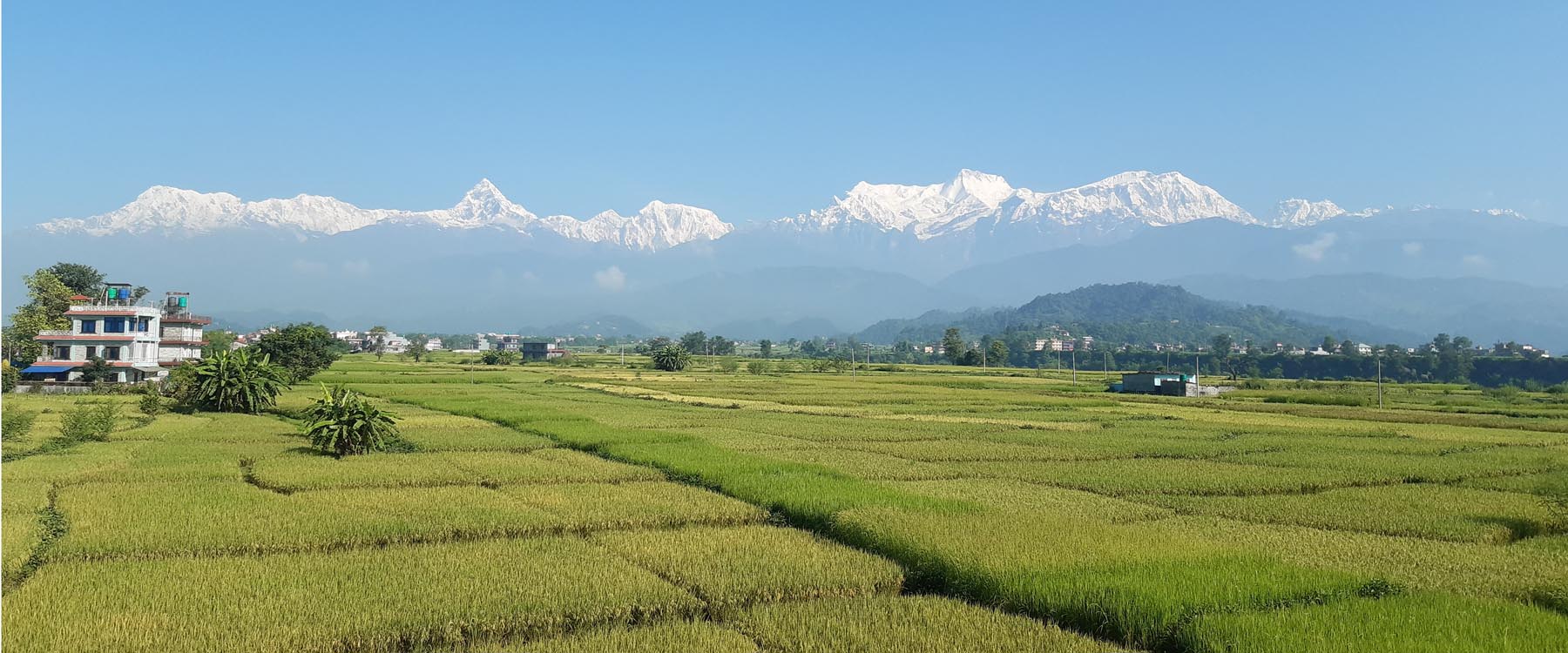 माछापुच्छ्रे हिमाल