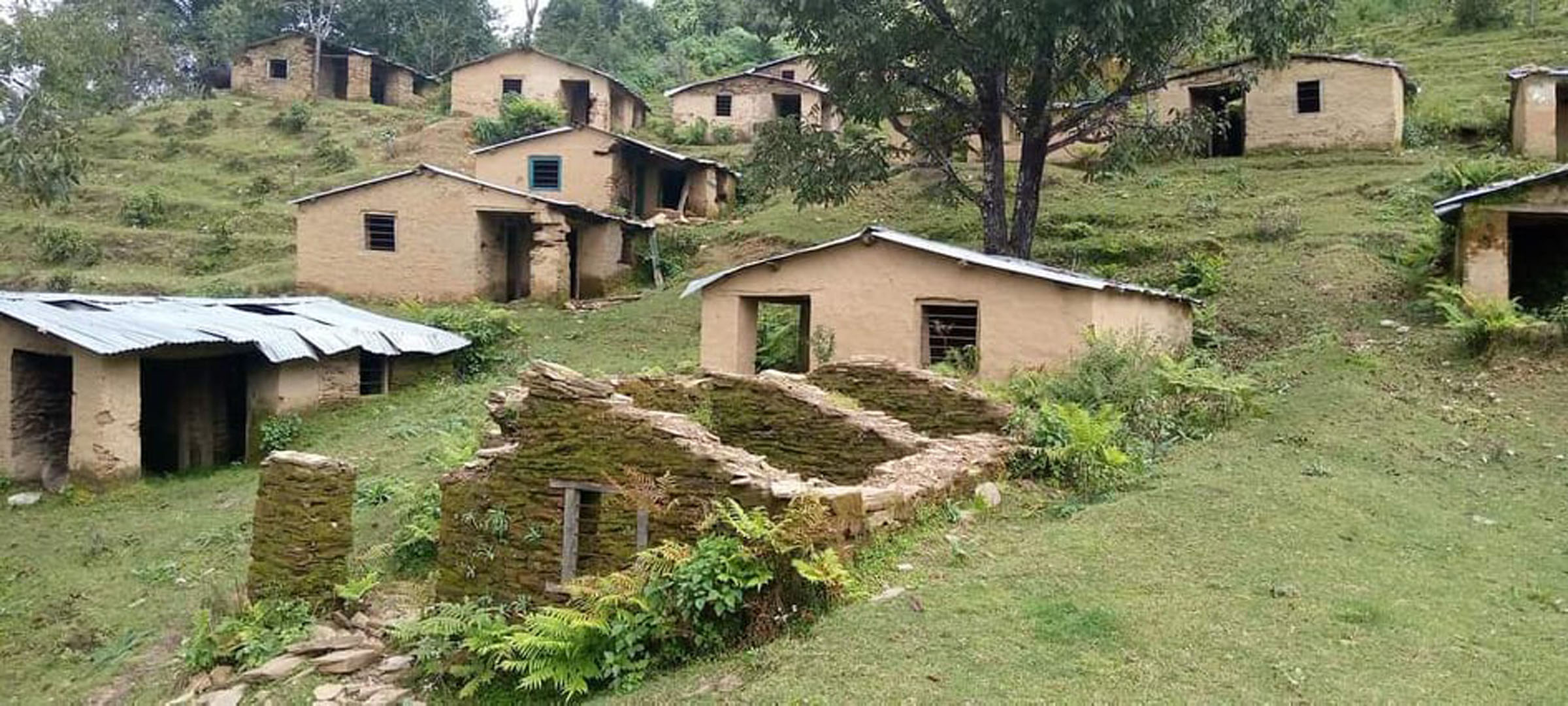हलियाबस्ती