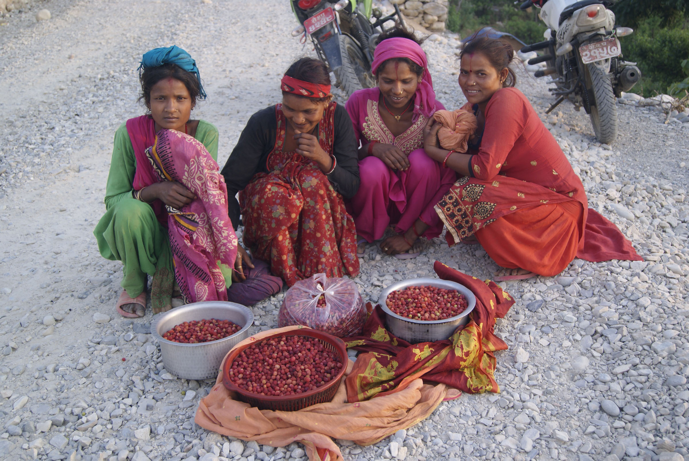 काफल बेच्दै