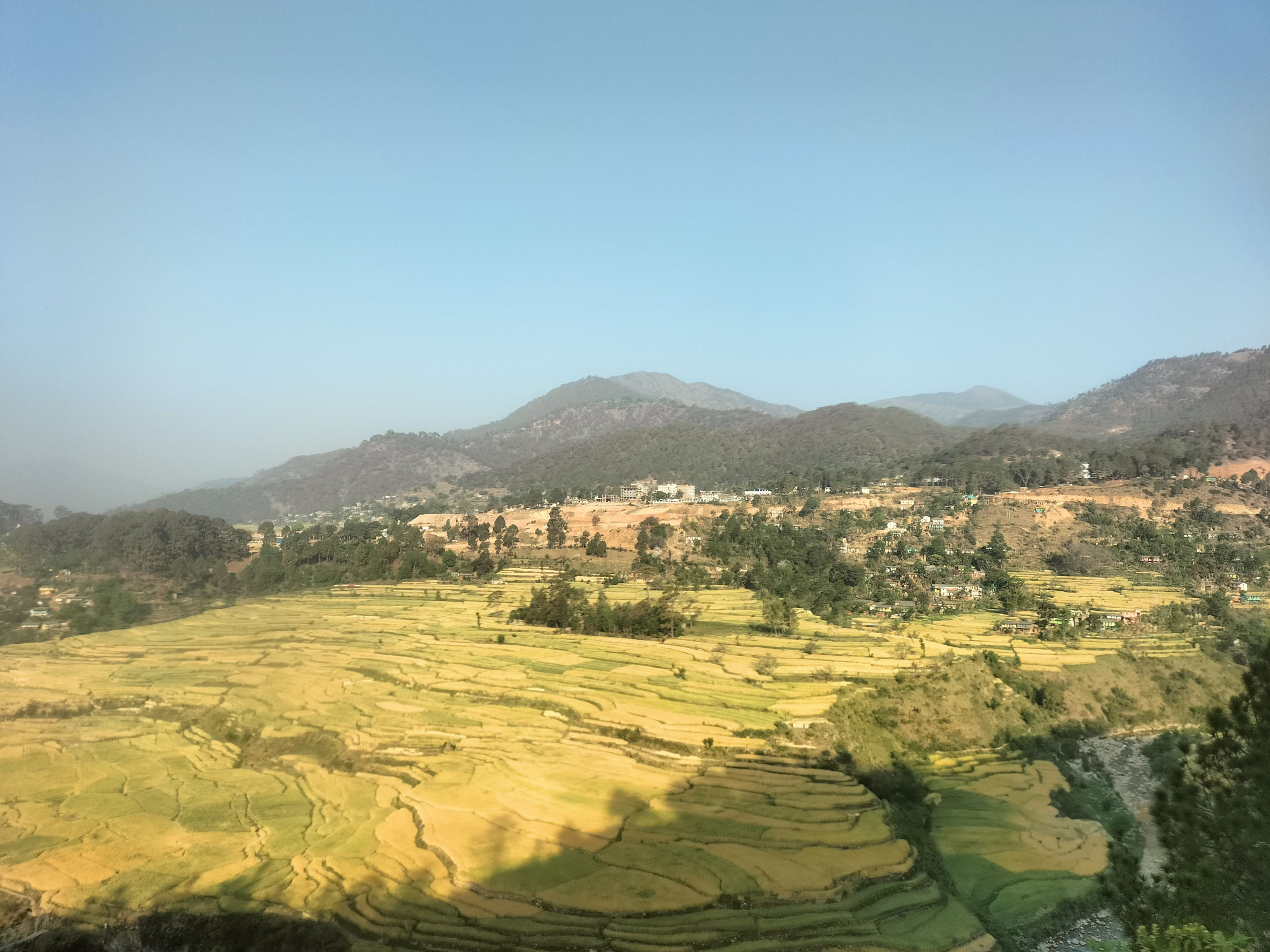 गहुँबाली
