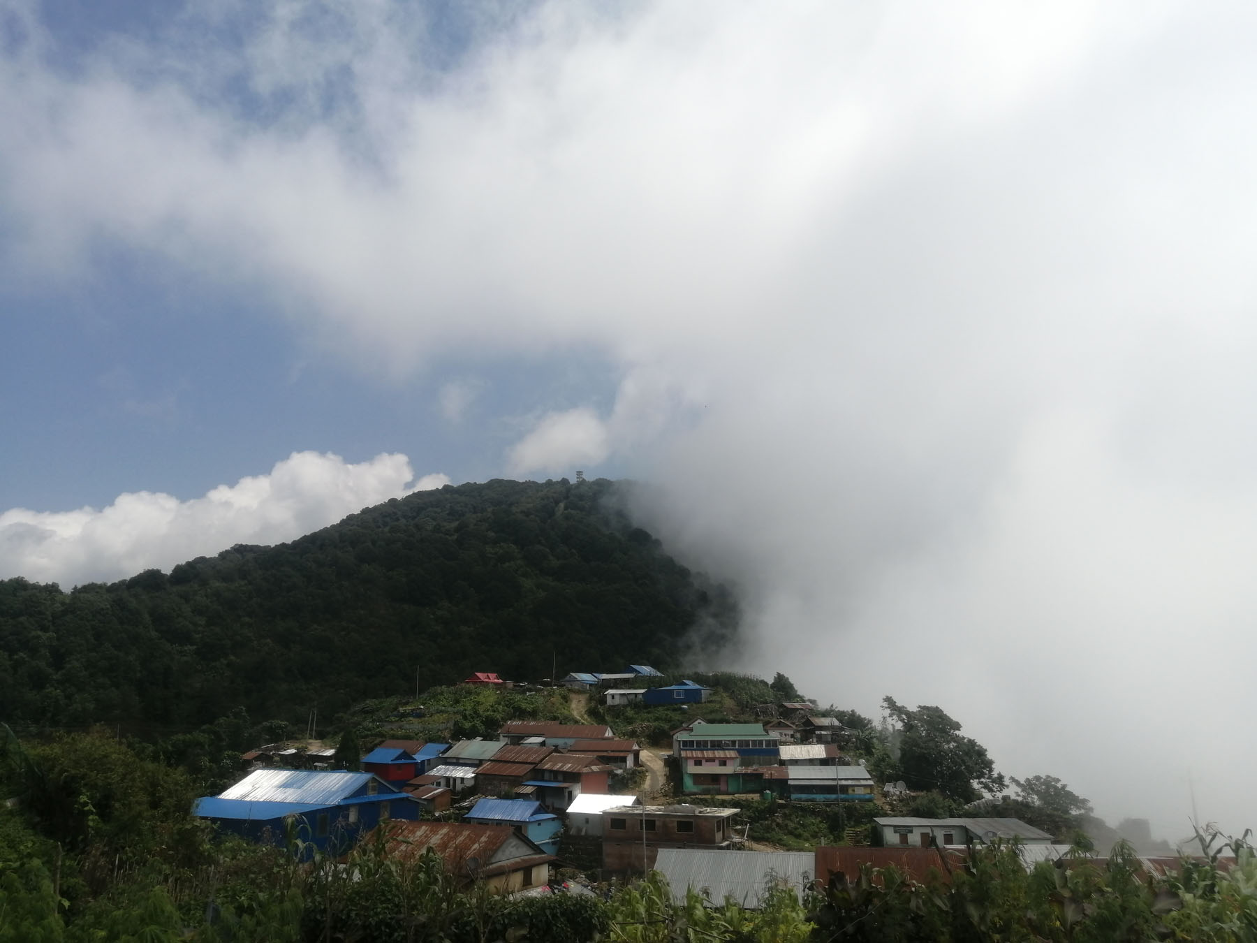 कुहिरो अदलबदल