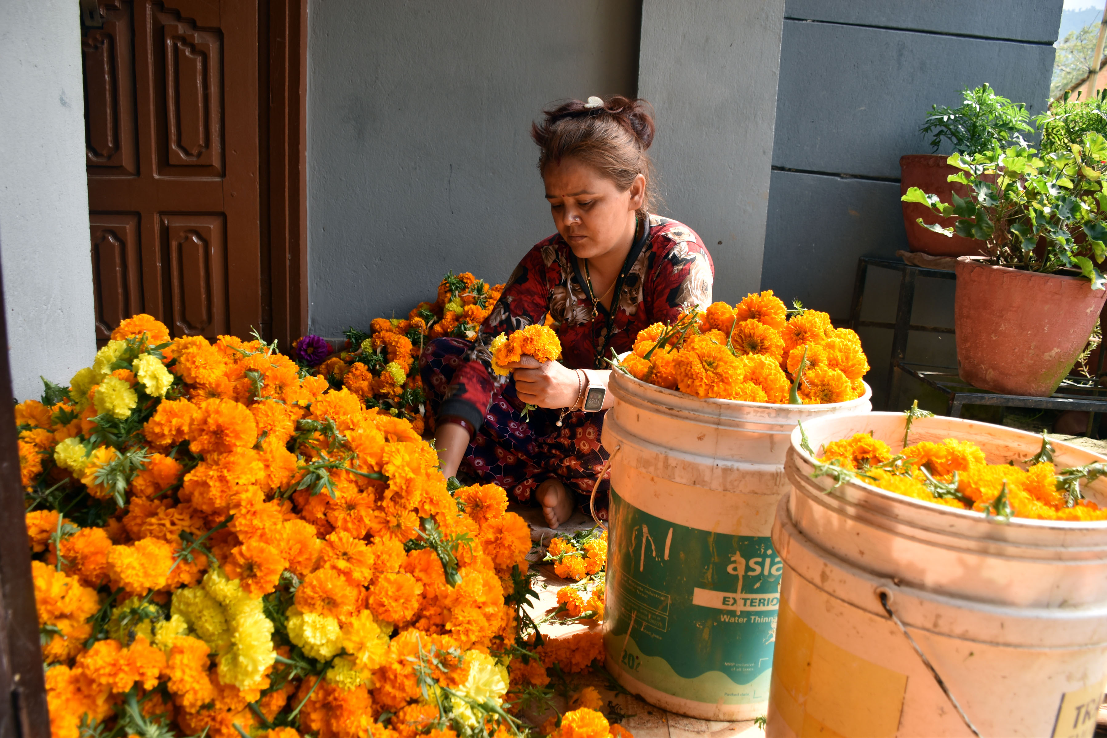विक्रीका लागि तयार फूल