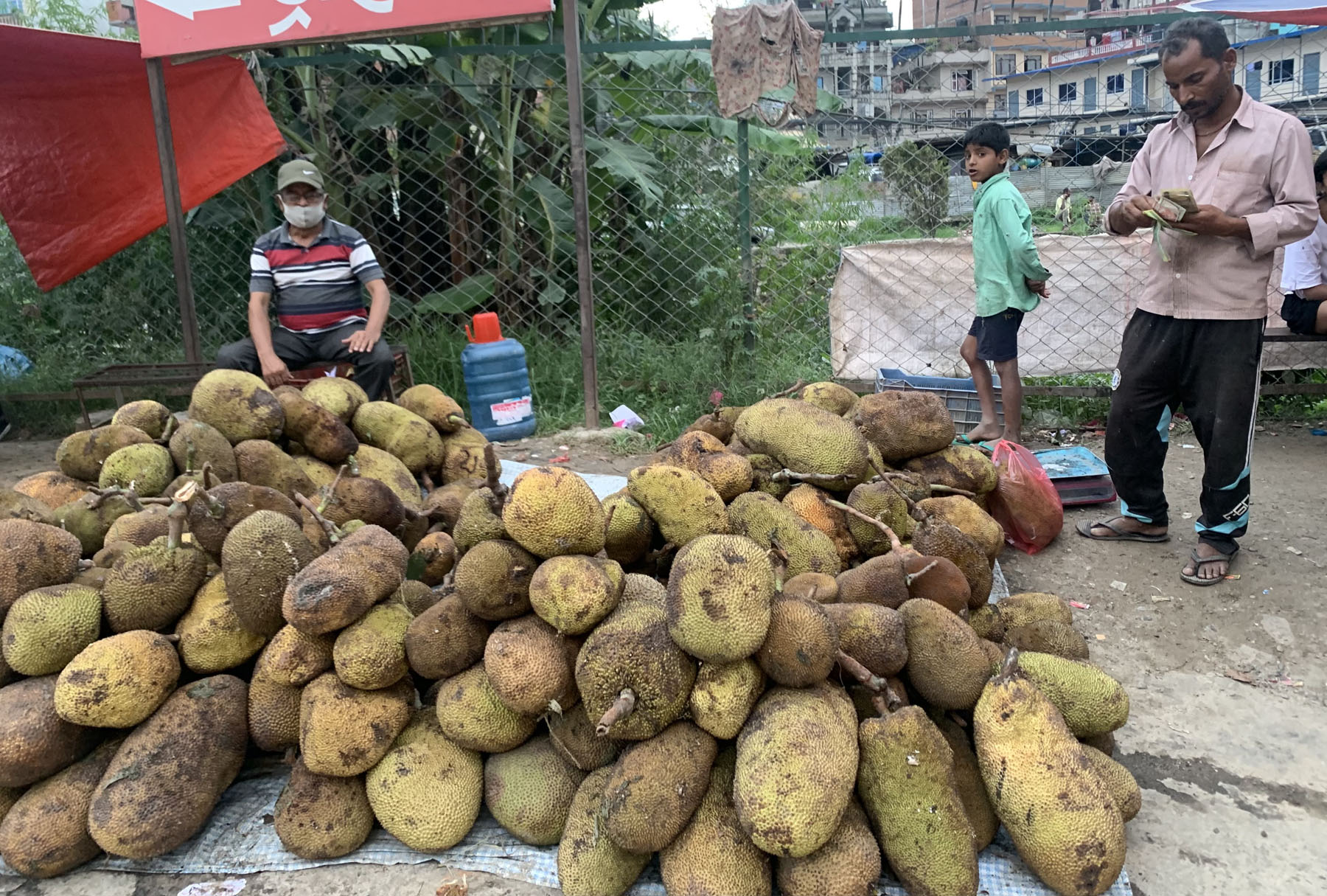 बिक्रीका लागि राखिएको कटहर