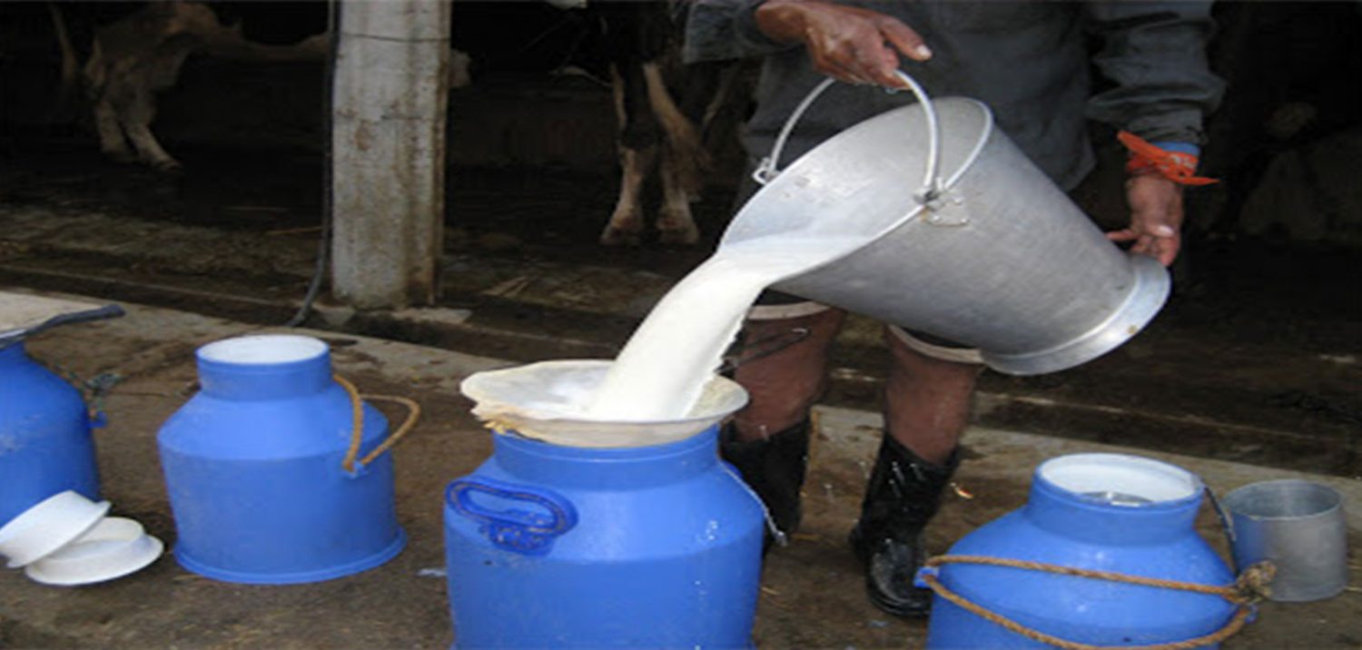 दूध कसरी चिन्नेः नक्कली हो वा सक्कली ? यस्तो छ सजिलो उपाय