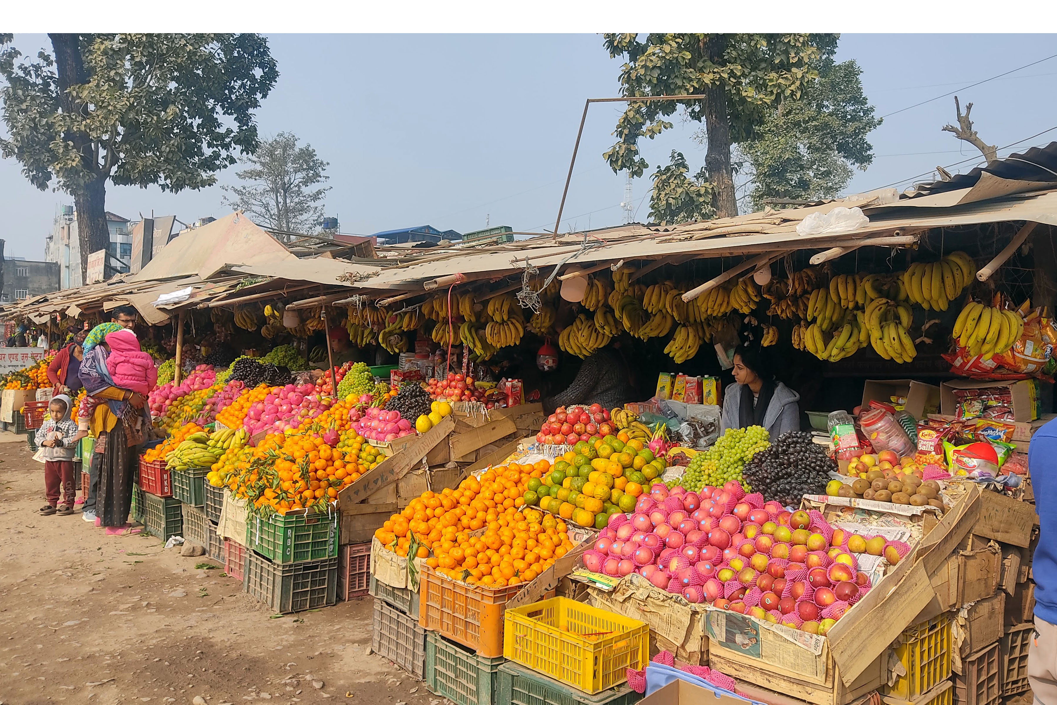 बिक्रीका लागि राखिएको फलफूल