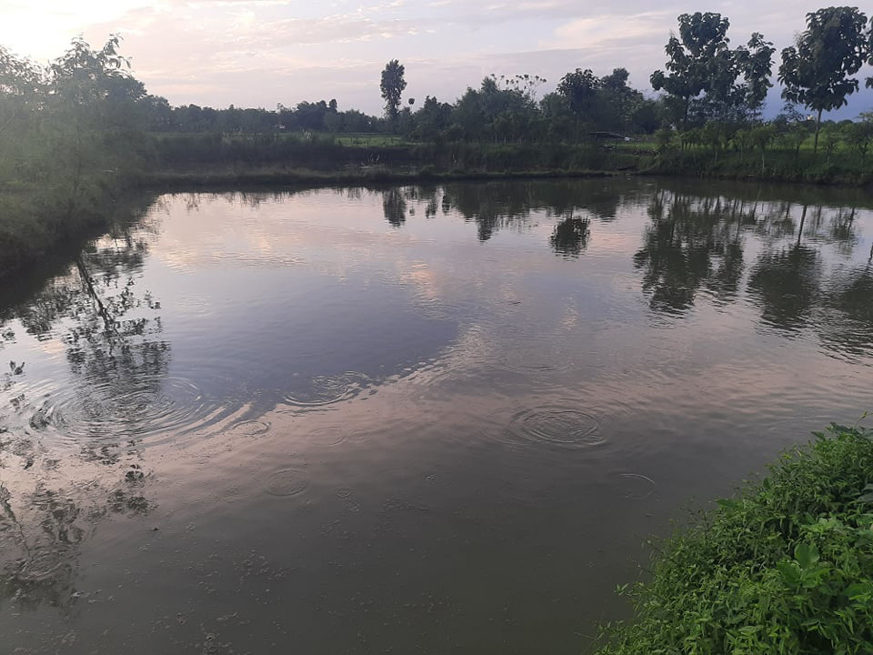 माछा पालन