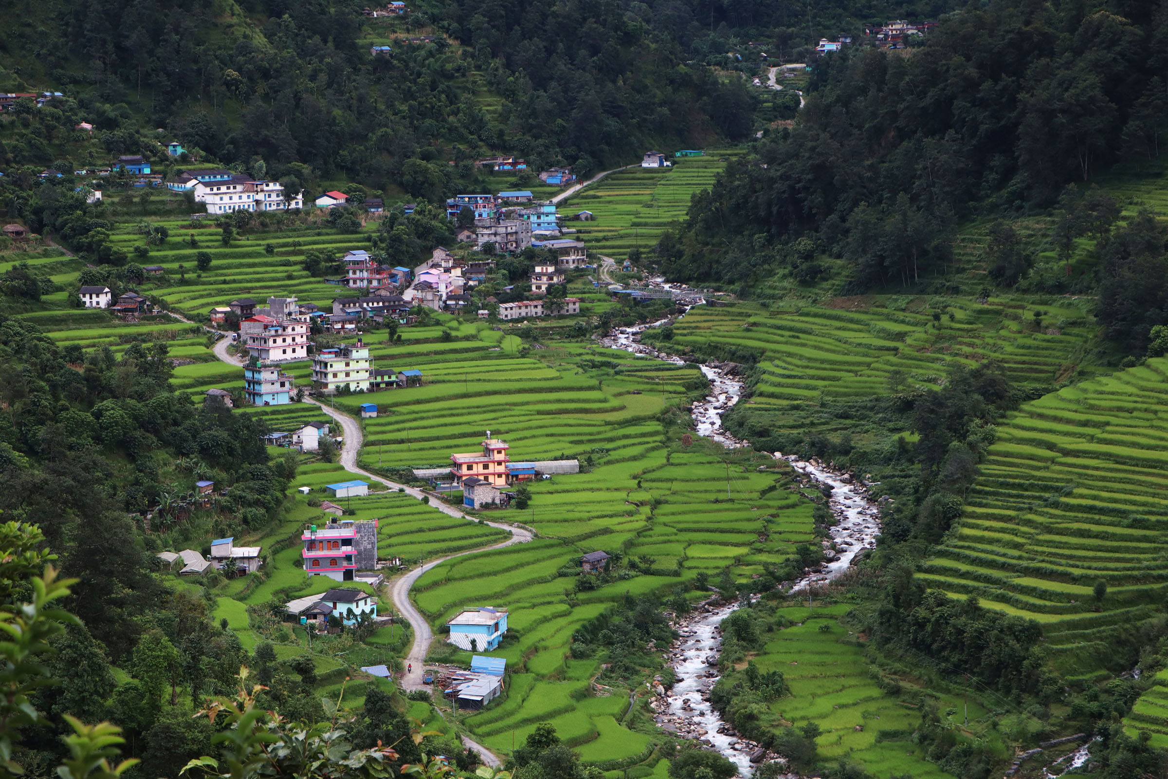 दुदिलाभाटी बजार