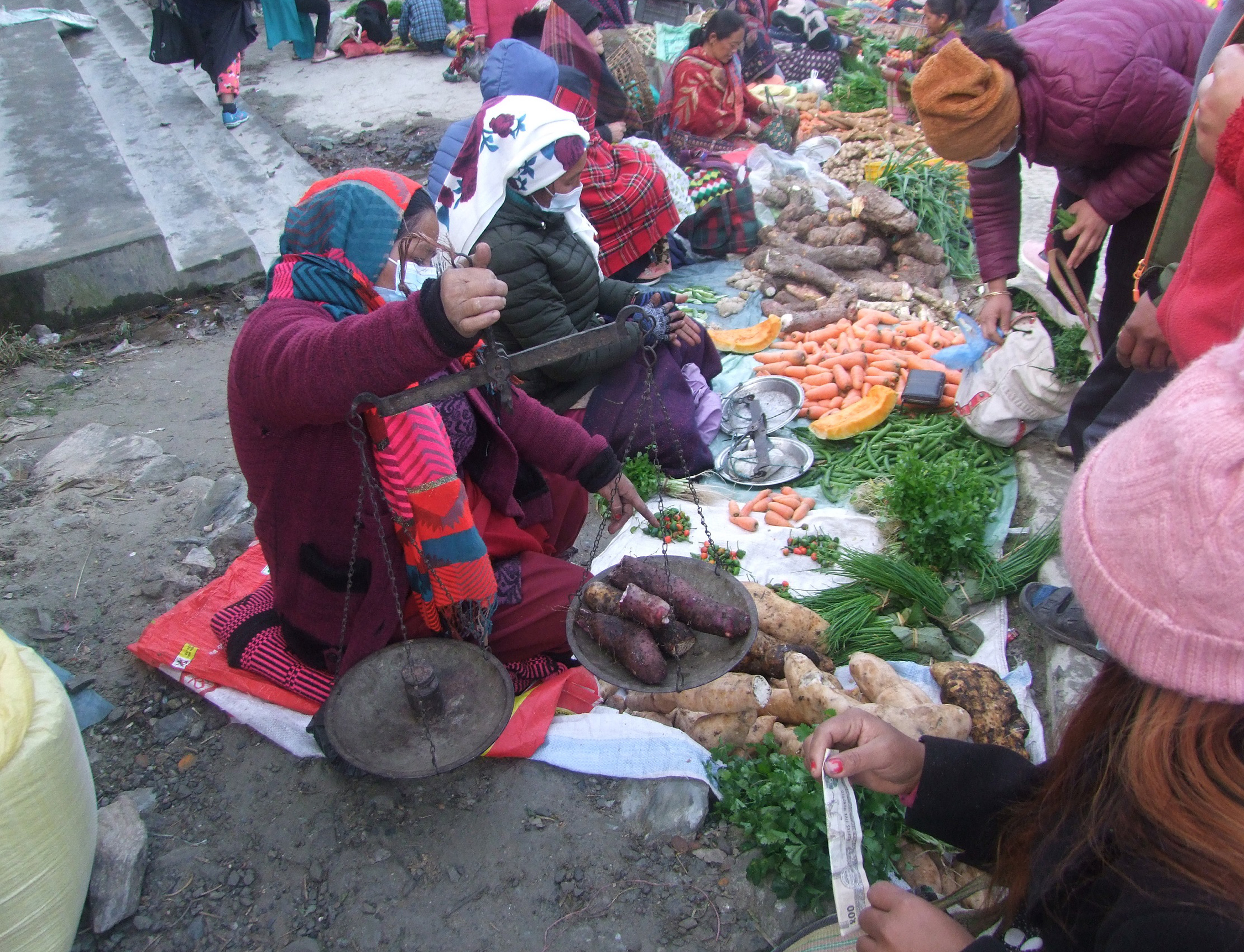 तरुल खरिद गर्दै उपभोक्ता