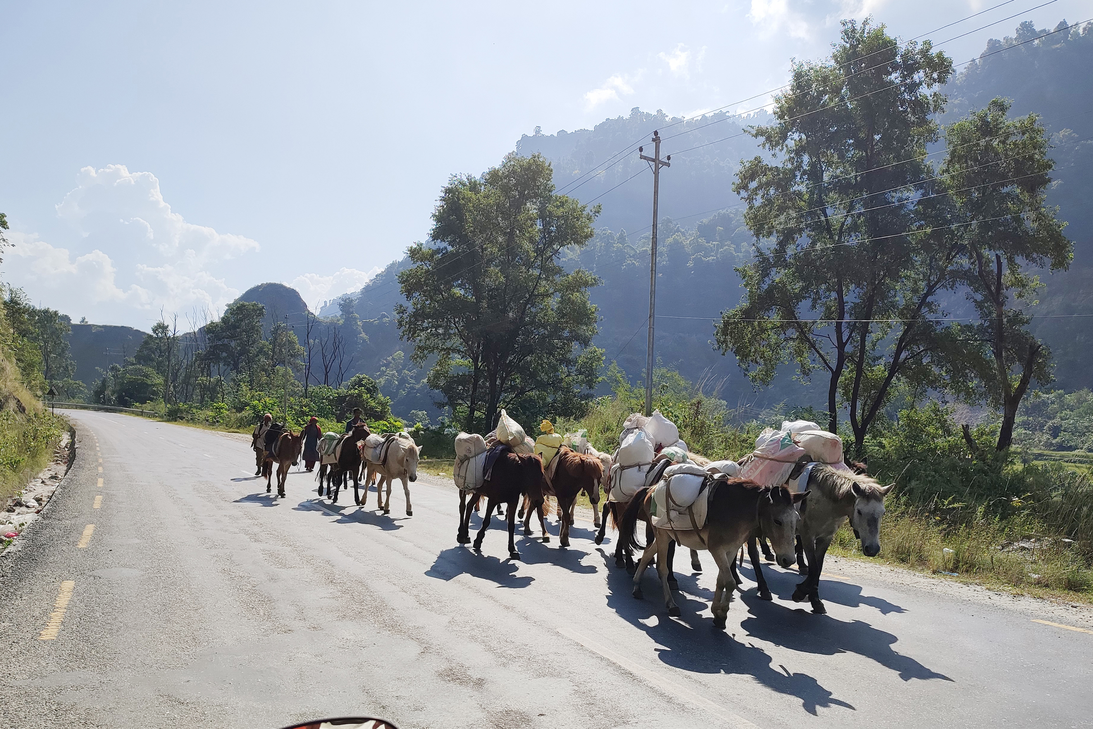 खच्चडमा सामान ढुवानी