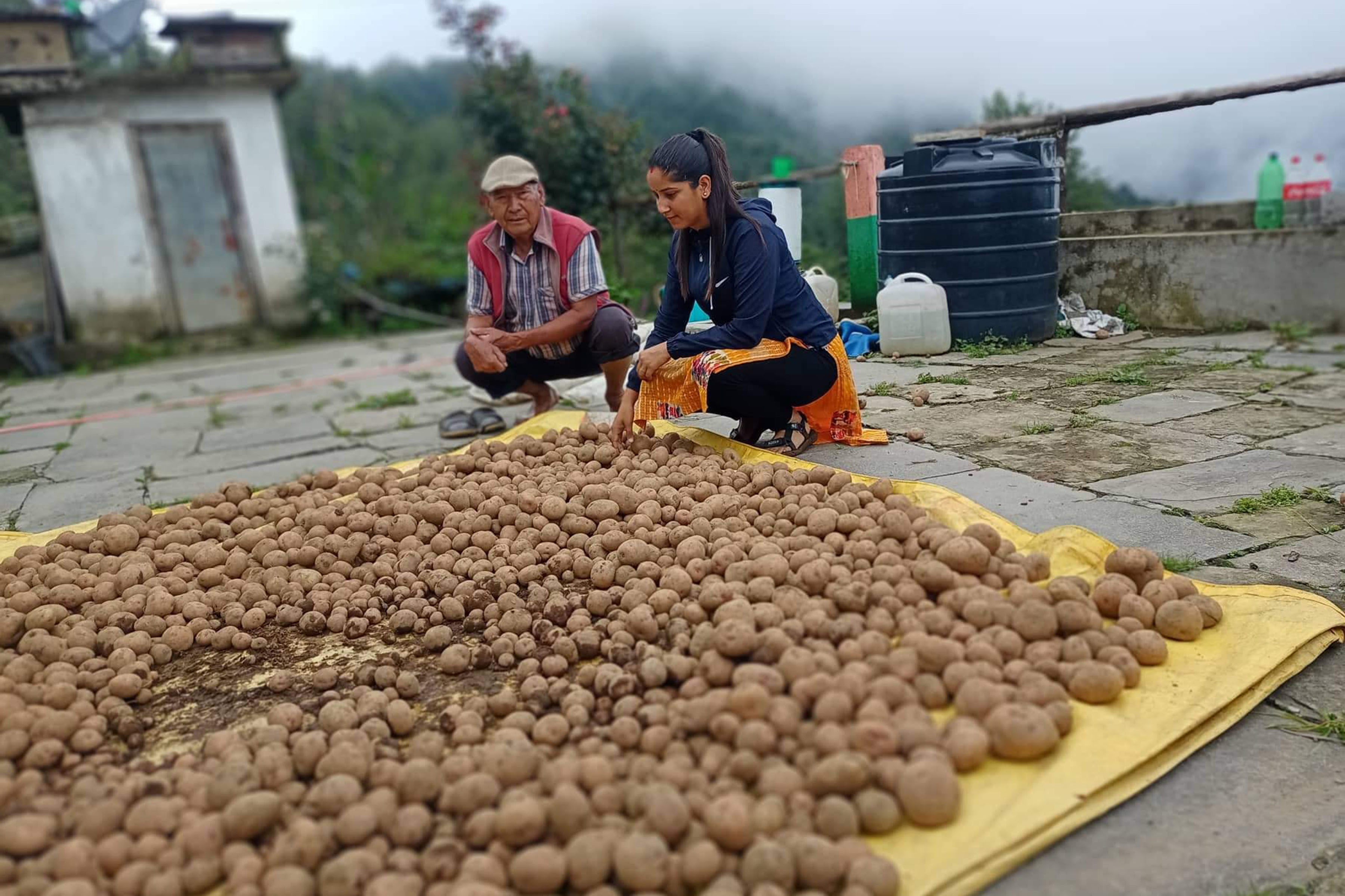 प्राङ्गारिक आलुको तथ्याङ्क सङ्कलन
