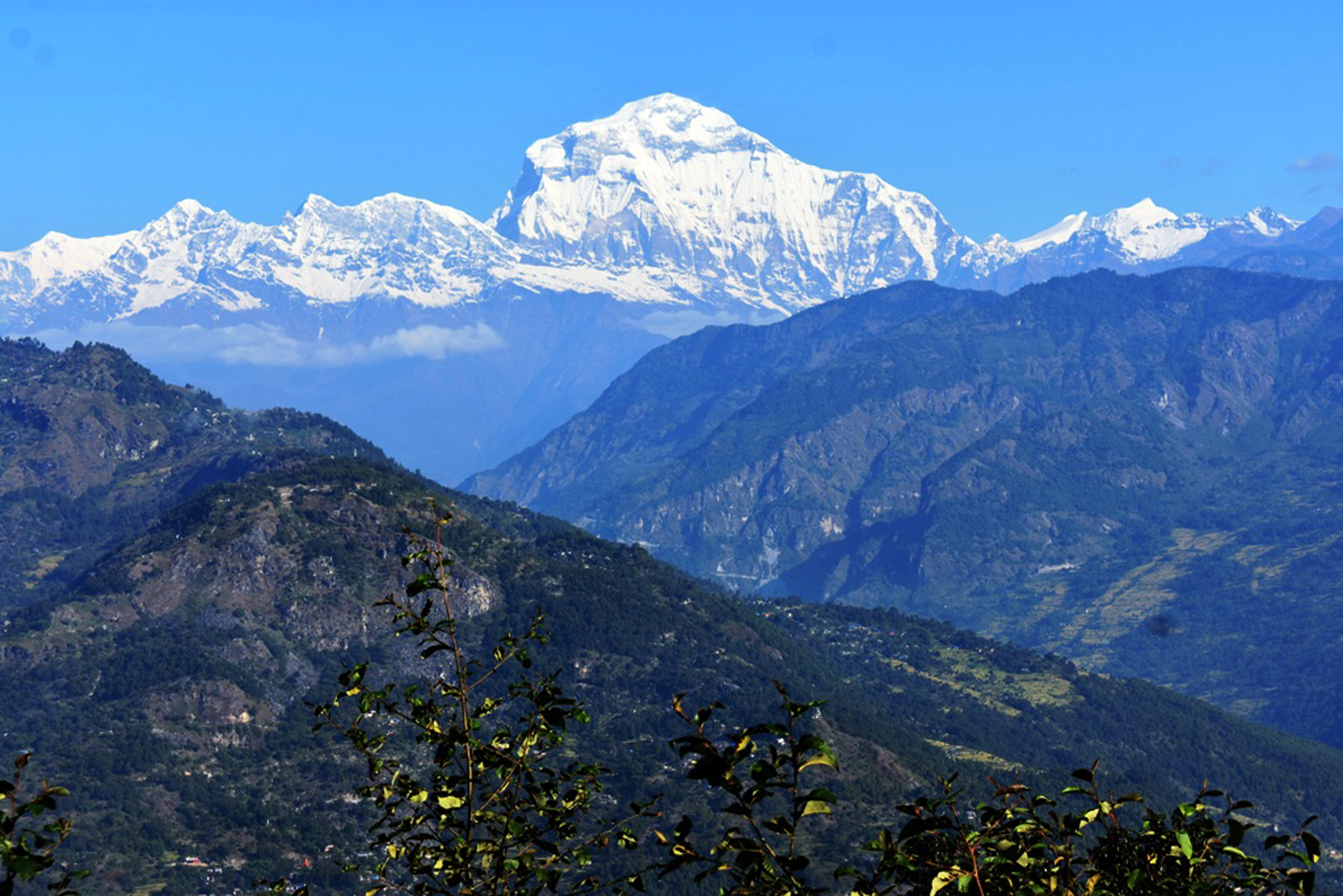 धौलागिरि हिमाल