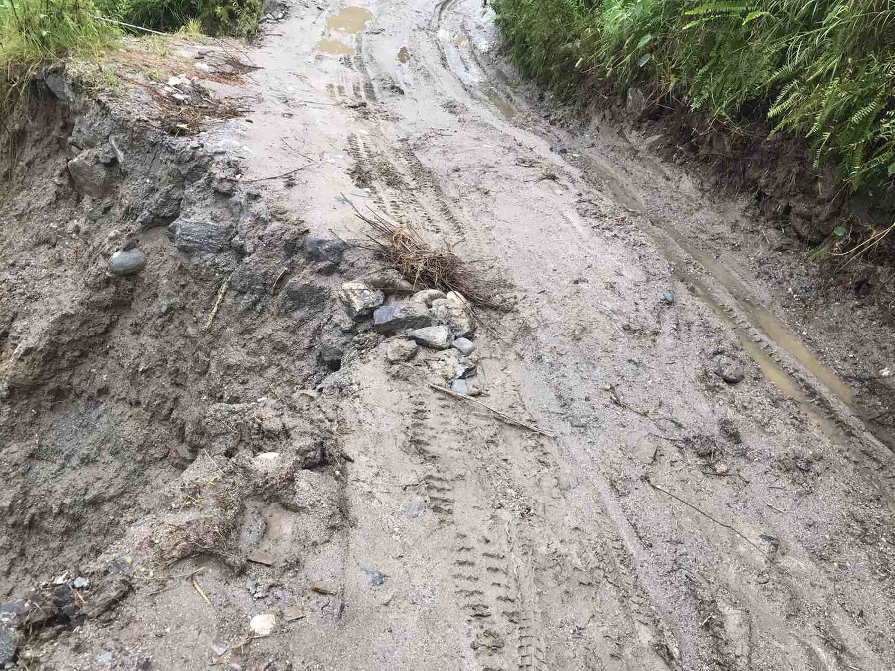 जोखिमग्रस्त सडक