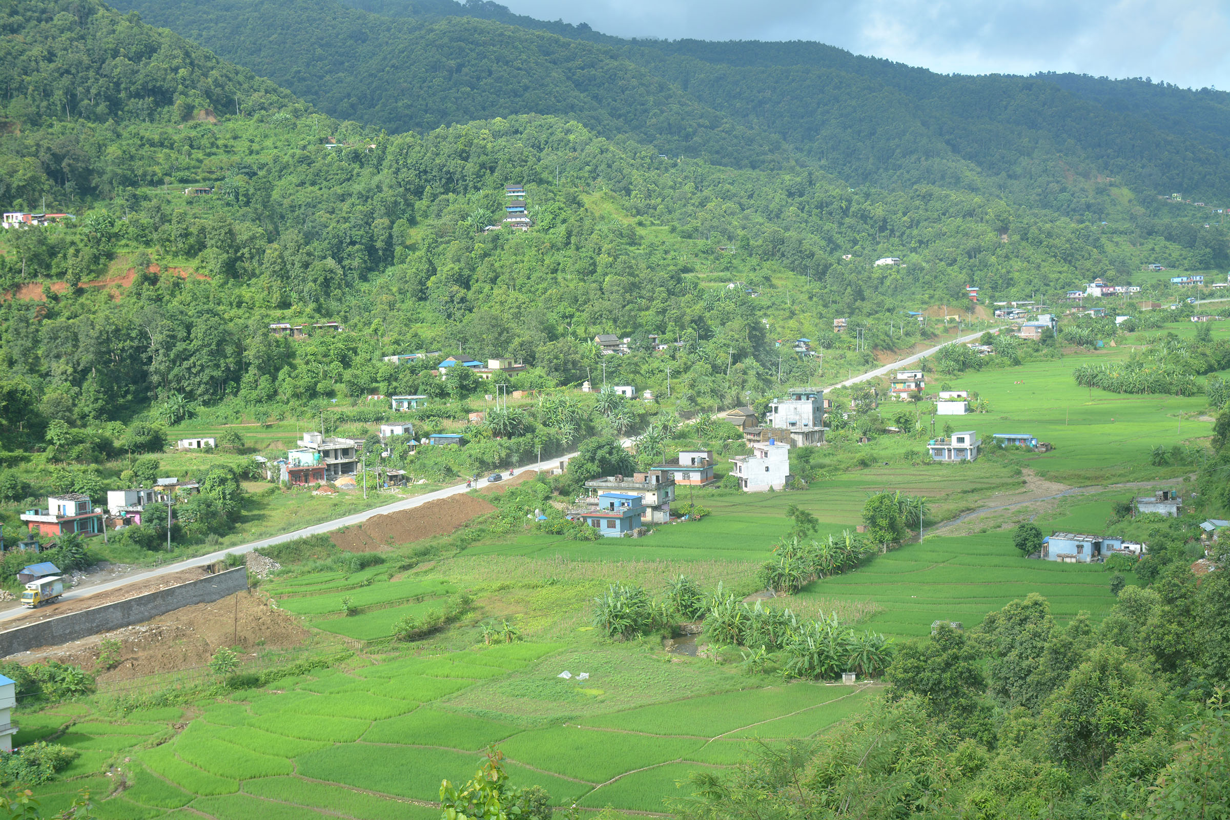 धान खेत