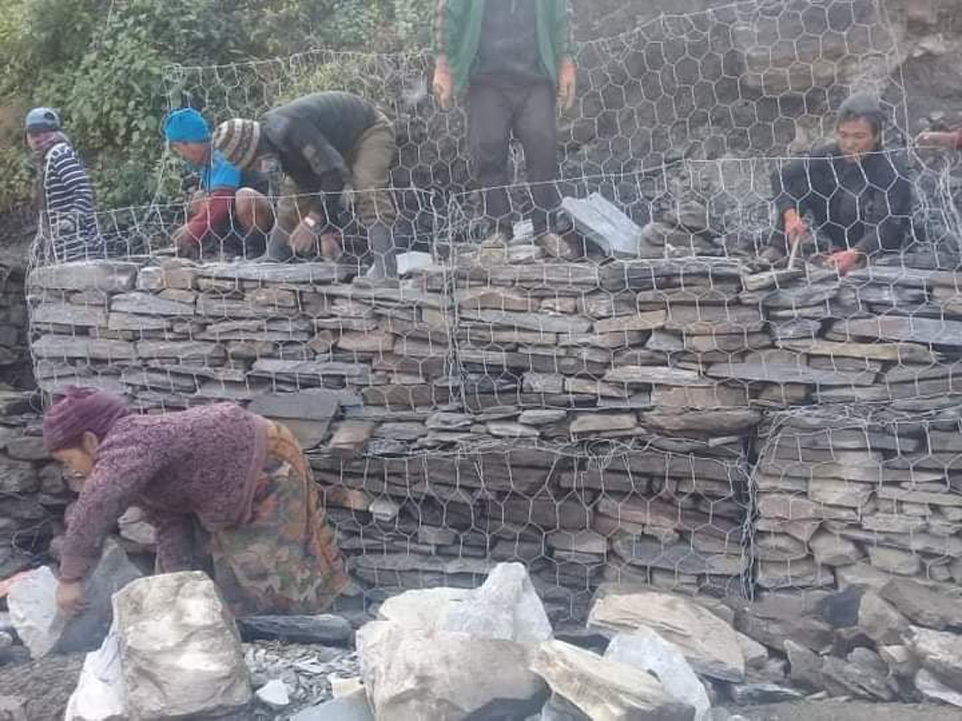 जाली लगाइँदै