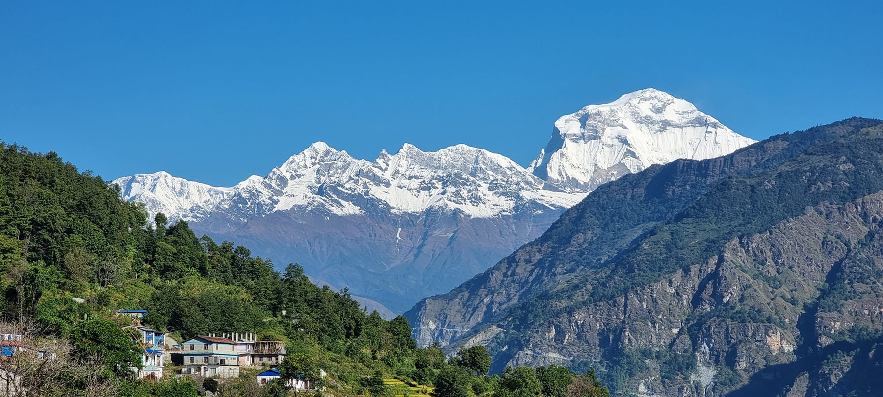 नेप्टेचौरबाट देखिएको धौलागिरि हिमाल