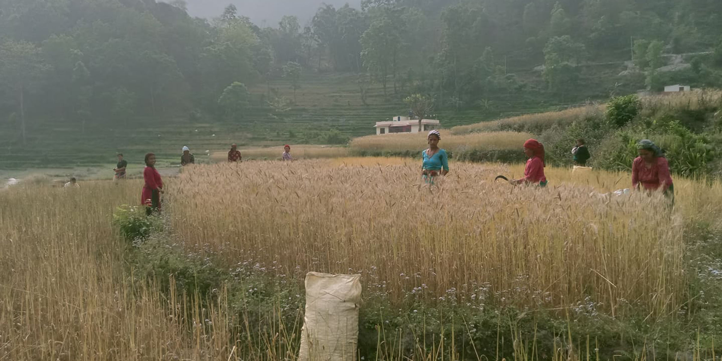 व्यस्त किसान