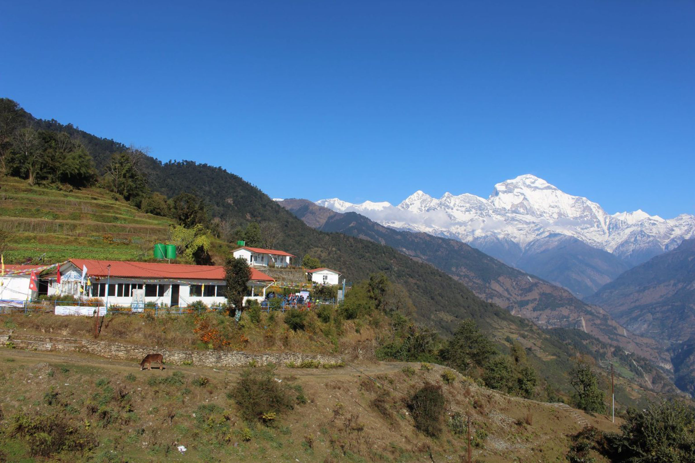 म्याग्दीको पर्यटकीय स्थल टोड्के