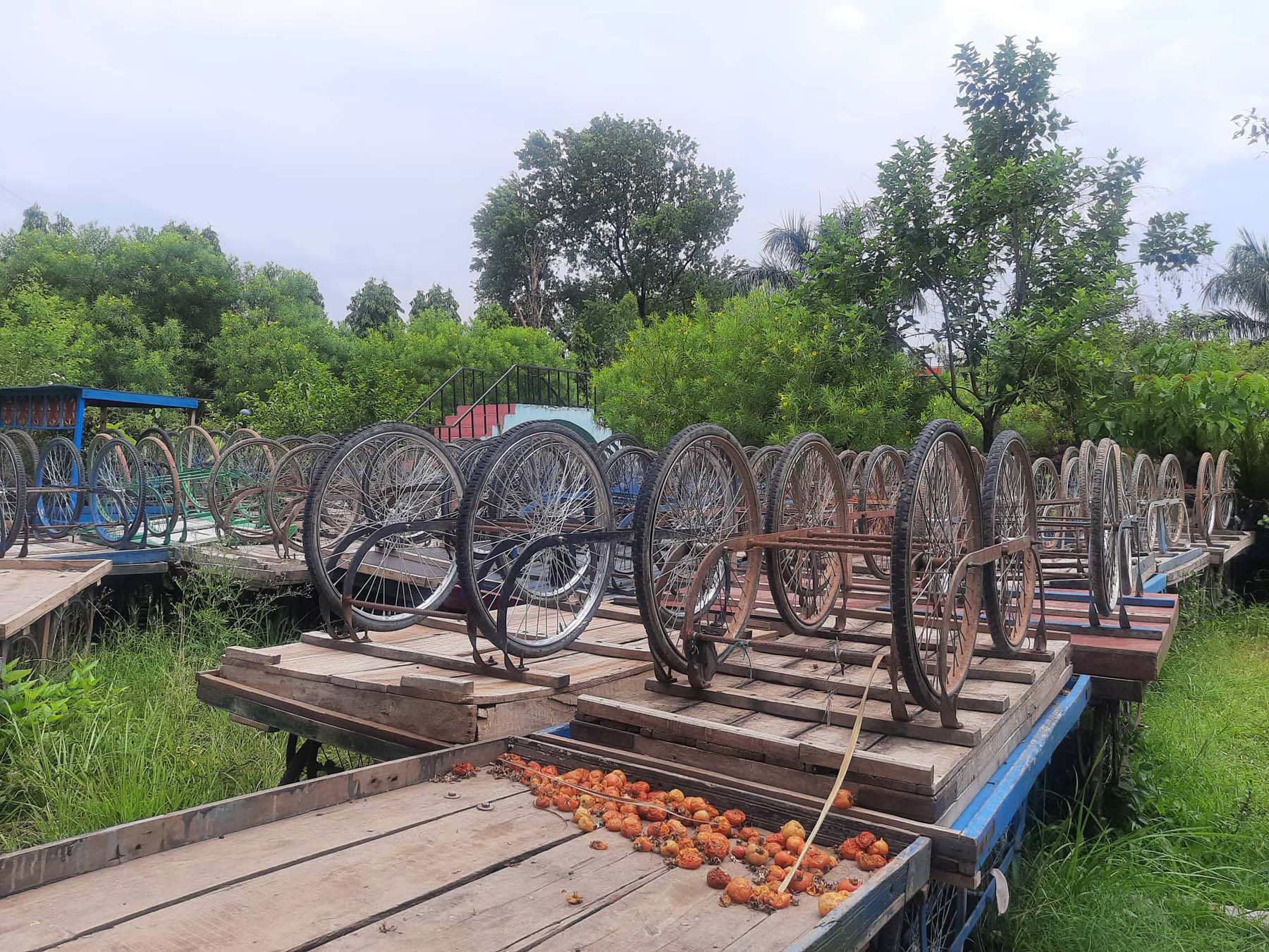 उपमहानगरपालिकाले जफत गरेका ठेला