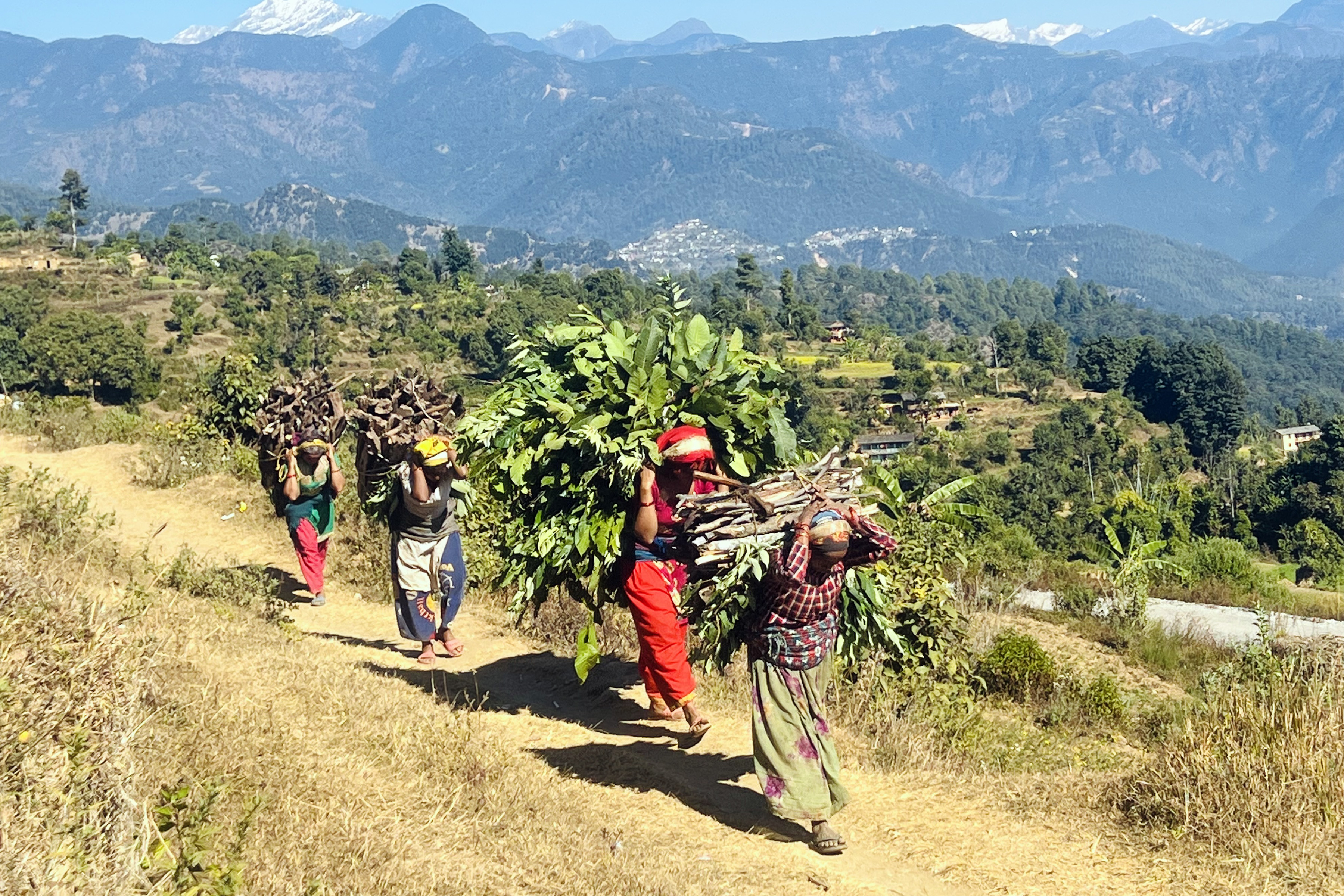 दाउरा घाँस लिएर घर फर्किदै किसान