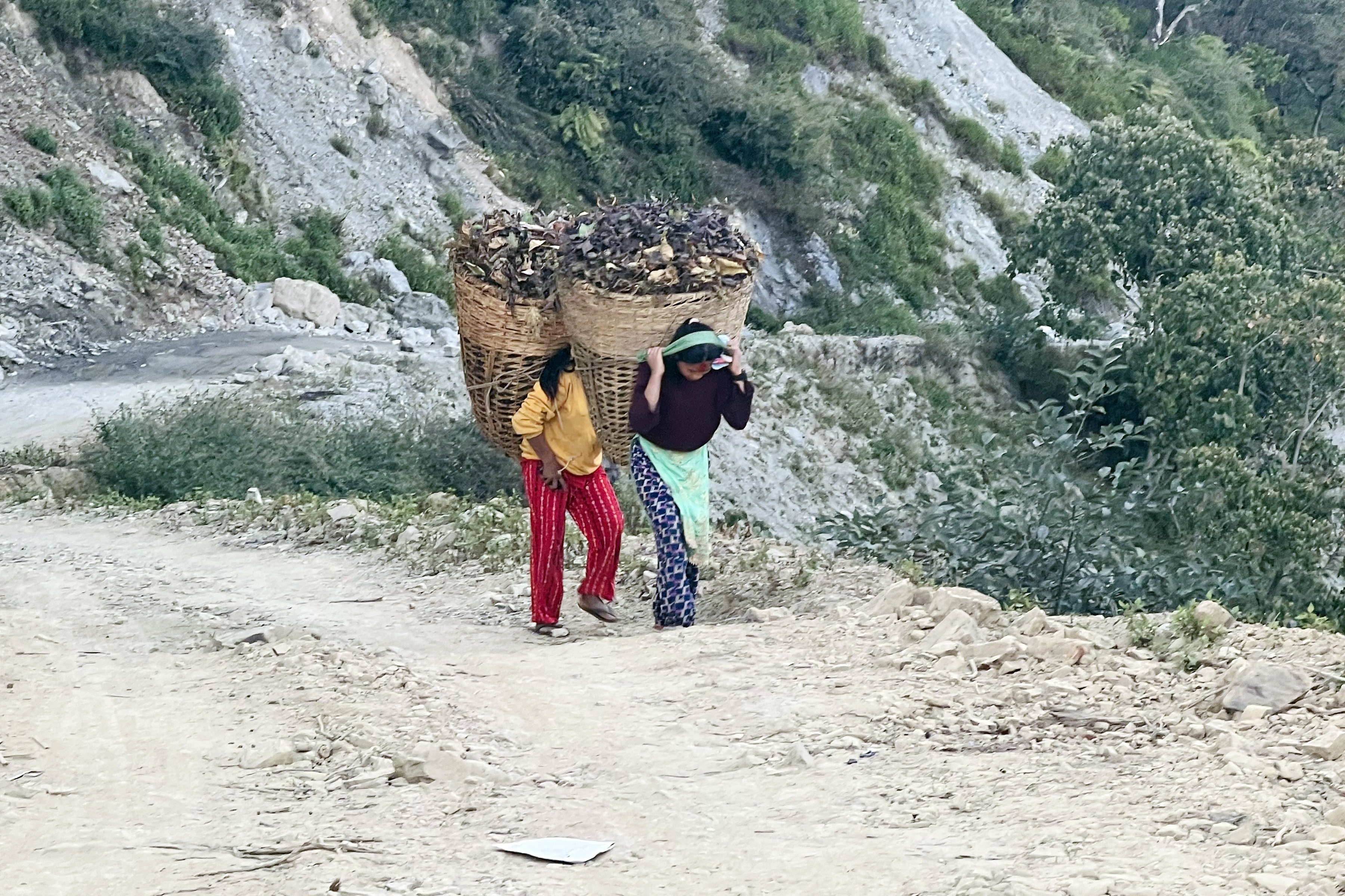 विद्यार्थीको दैनिकी