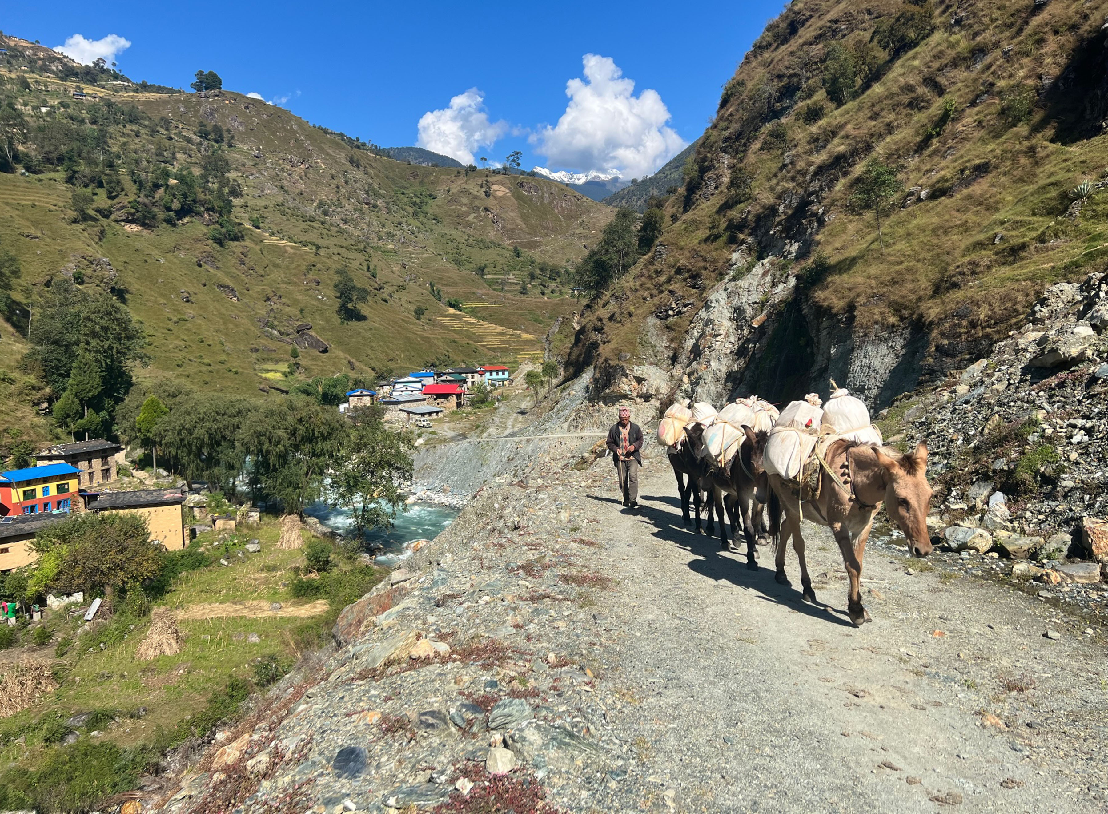 खच्चडमा सामान लगिँदै
