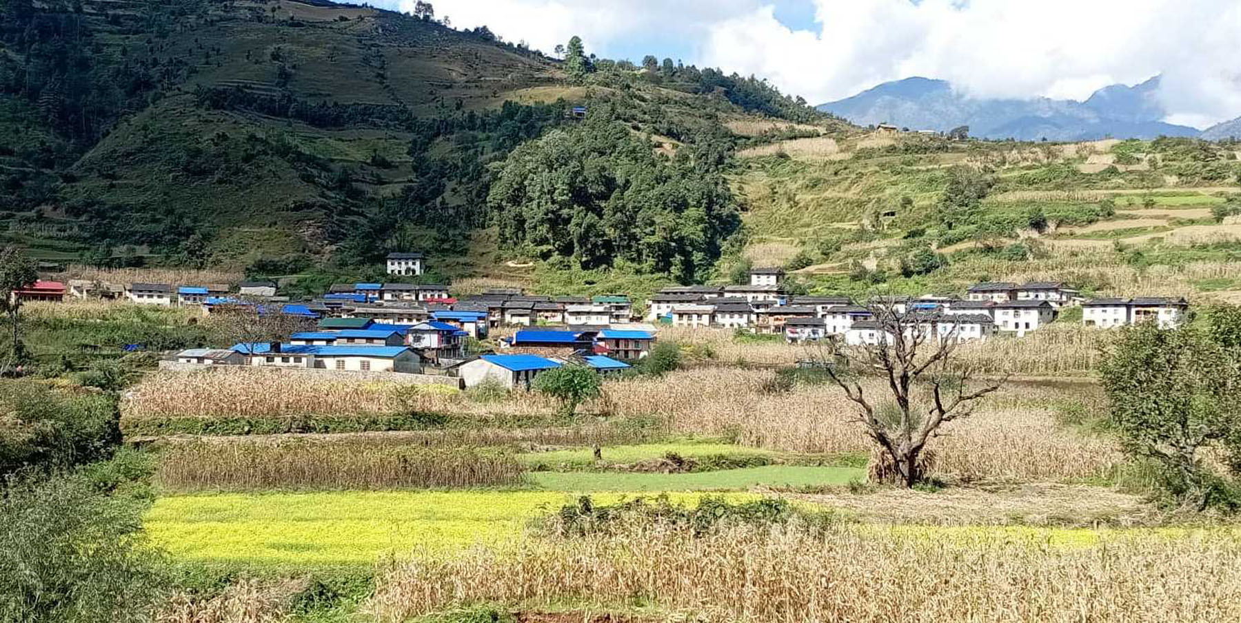 सिल्र्चाचौर गाउँ