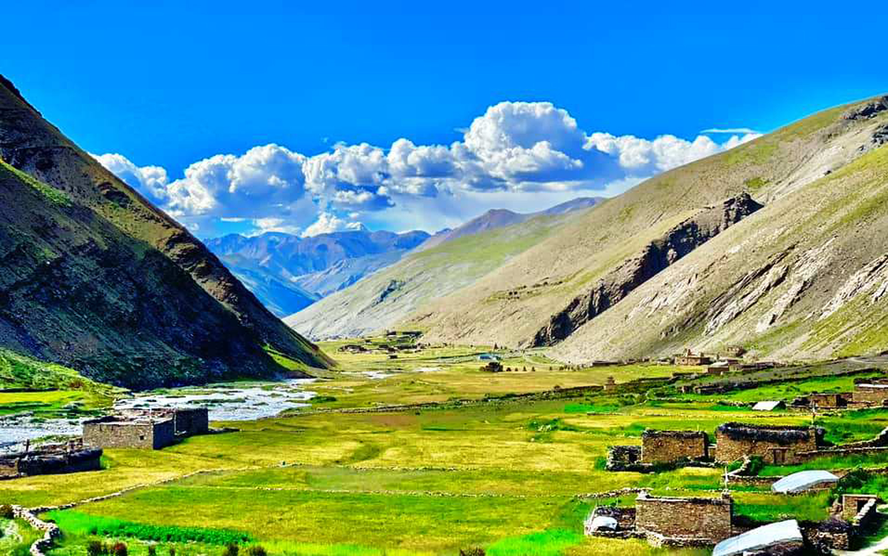 पाक्दै गरेको उवावाली
