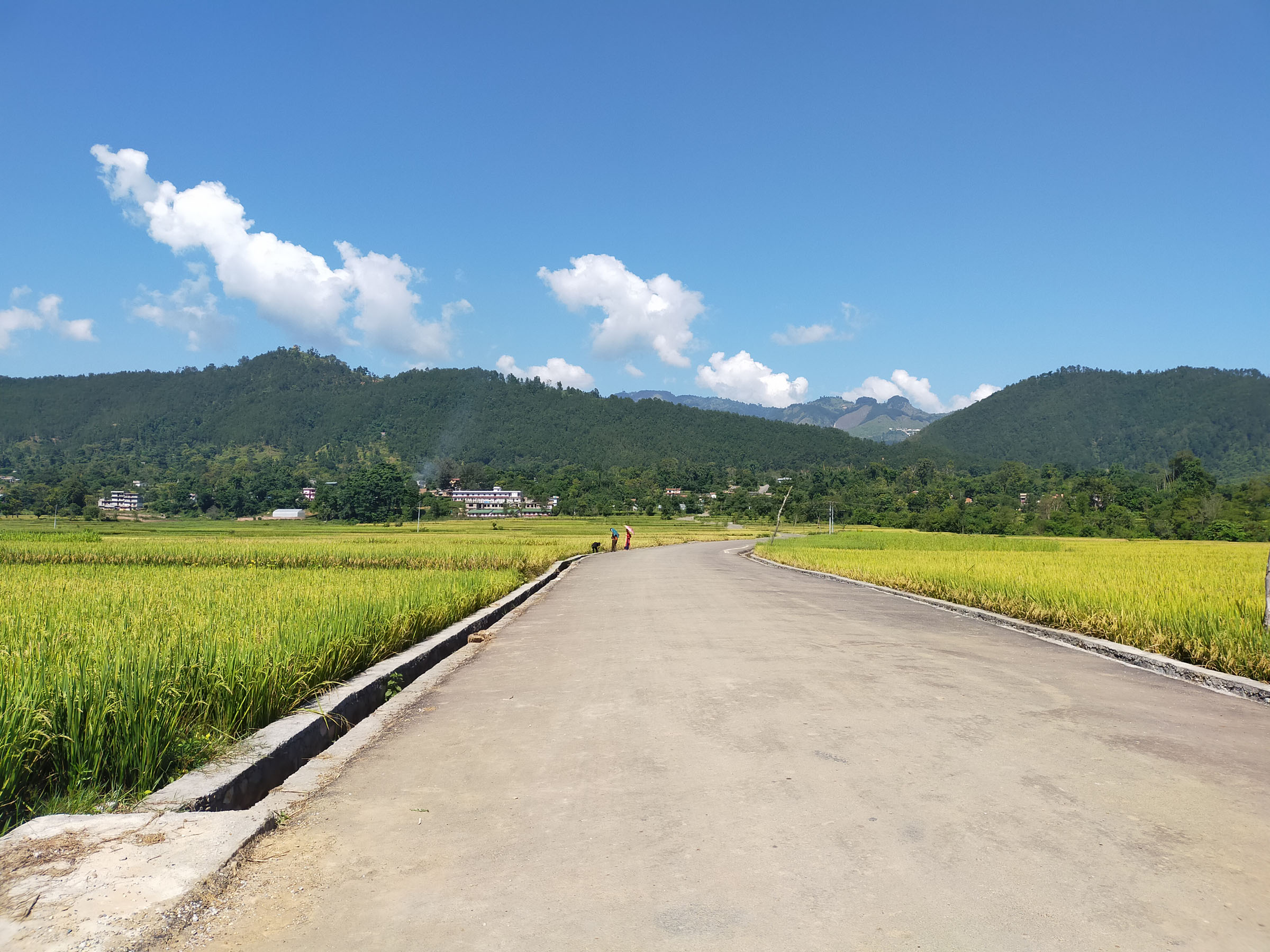 कालोपत्रे सडक