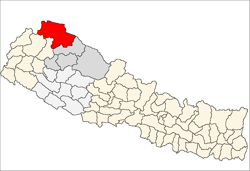 हुम्लाको डाँडाफयामा भालुको आतंक