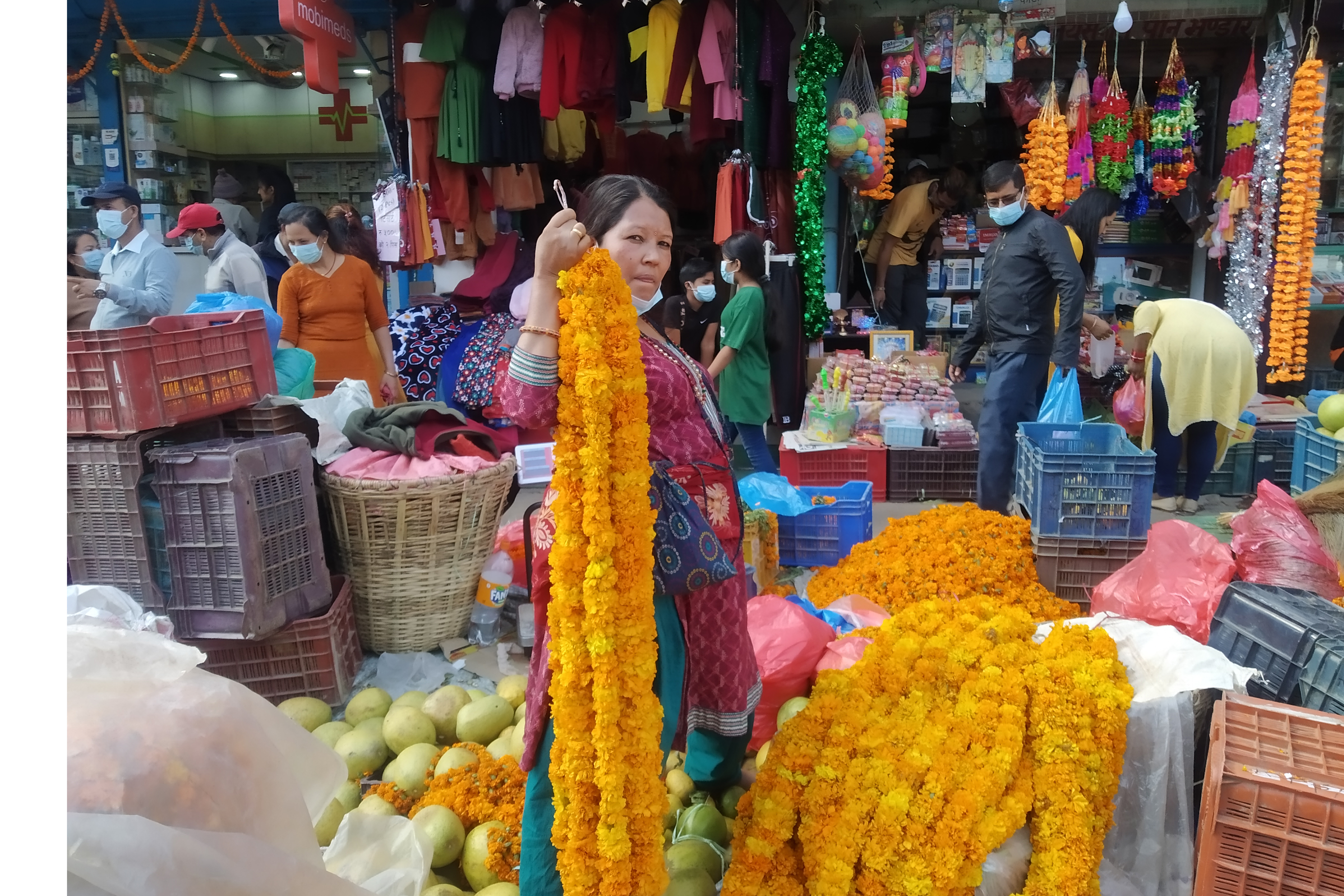 सयपत्री बेचेर दुई लाख बढी आम्दानी, झिनियाँबाटै एक सिजनमा छ लाख आम्दानी