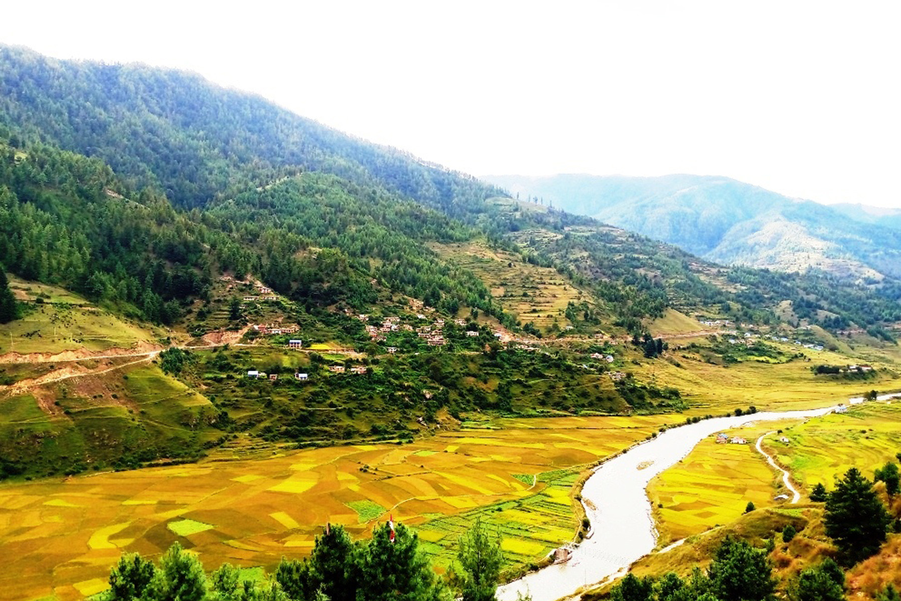 मार्सीधान