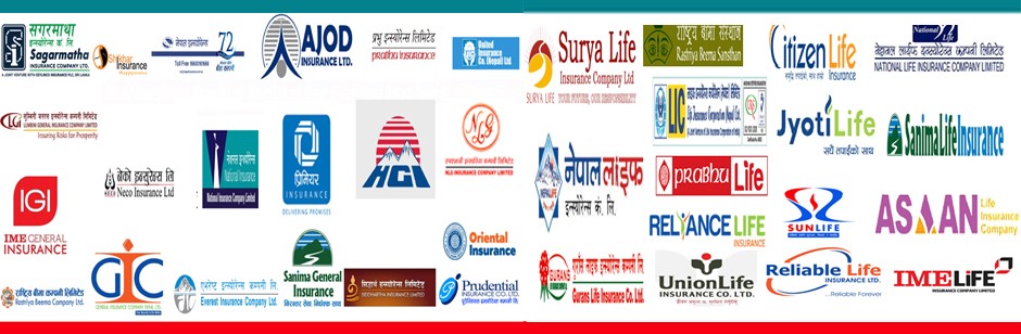 बीमा कम्पनीले दिए स्वदेशमै ११ हजार भन्दा धेरैलाई रोजगारी