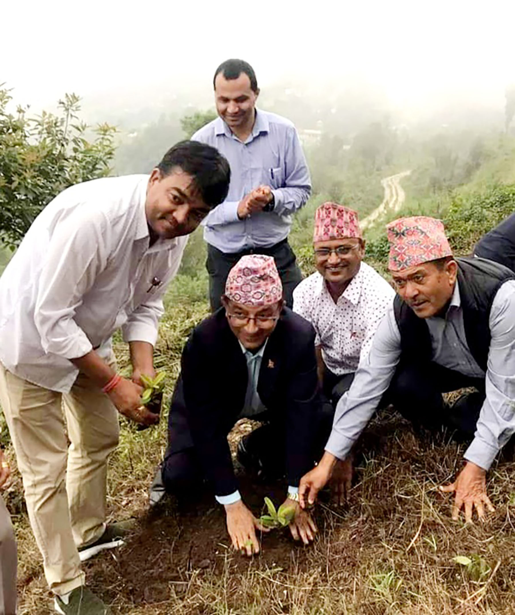 बिरुवा रोप्दै