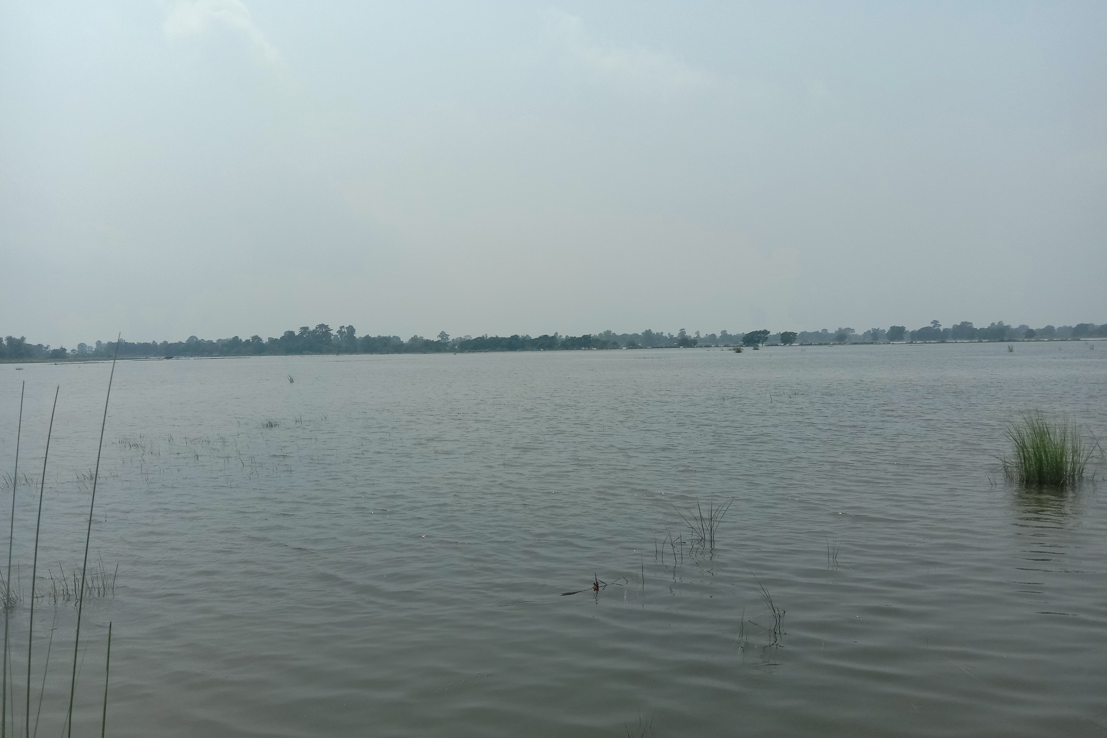 सोनाफाँटामा  बाढी